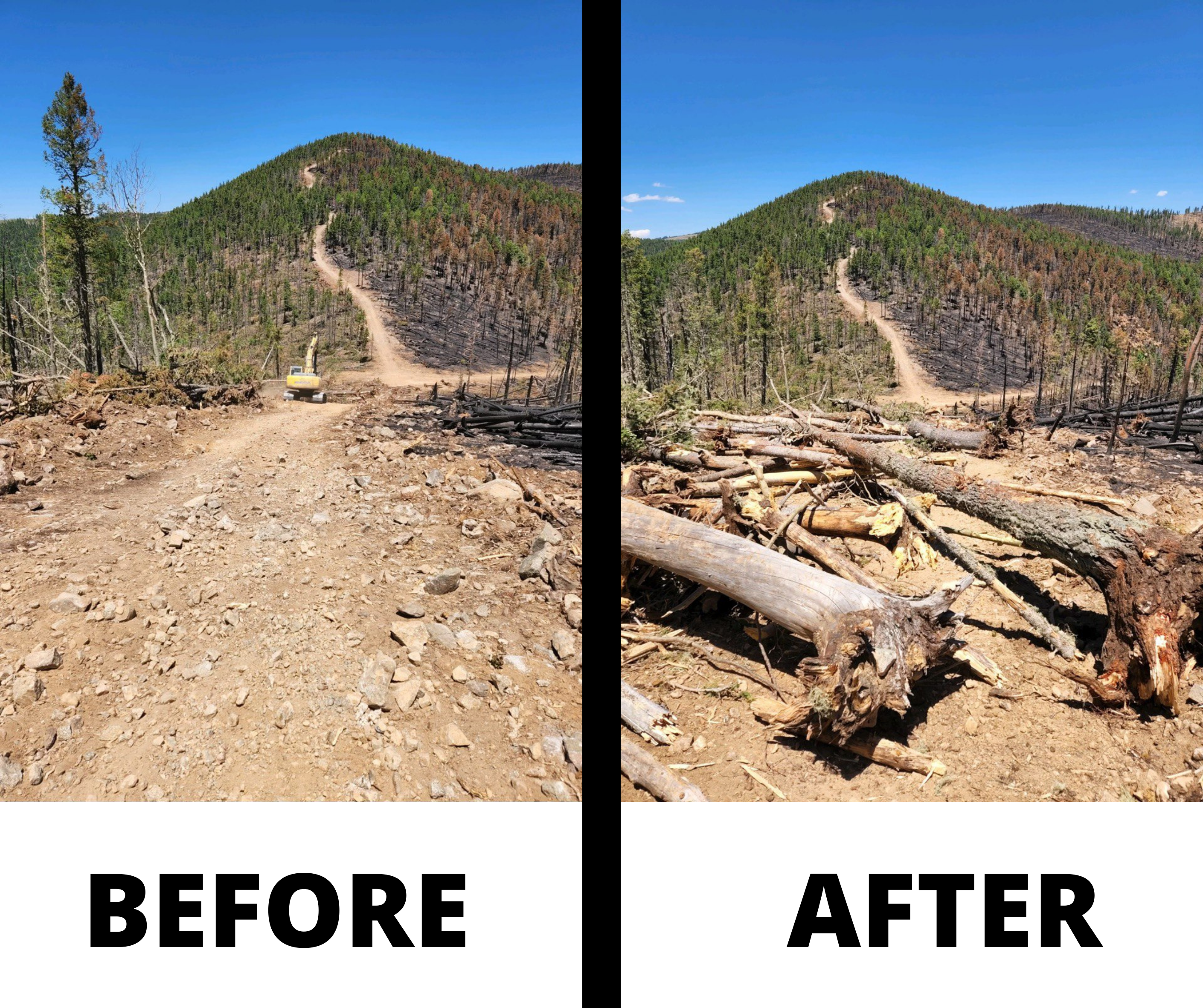 Before and after comparison. Left is before with dozer line looking like a dirt road along ridge top with vegetation on both sides. After shows many logs covering the dirt path made by the dozer. Blue sky in background.