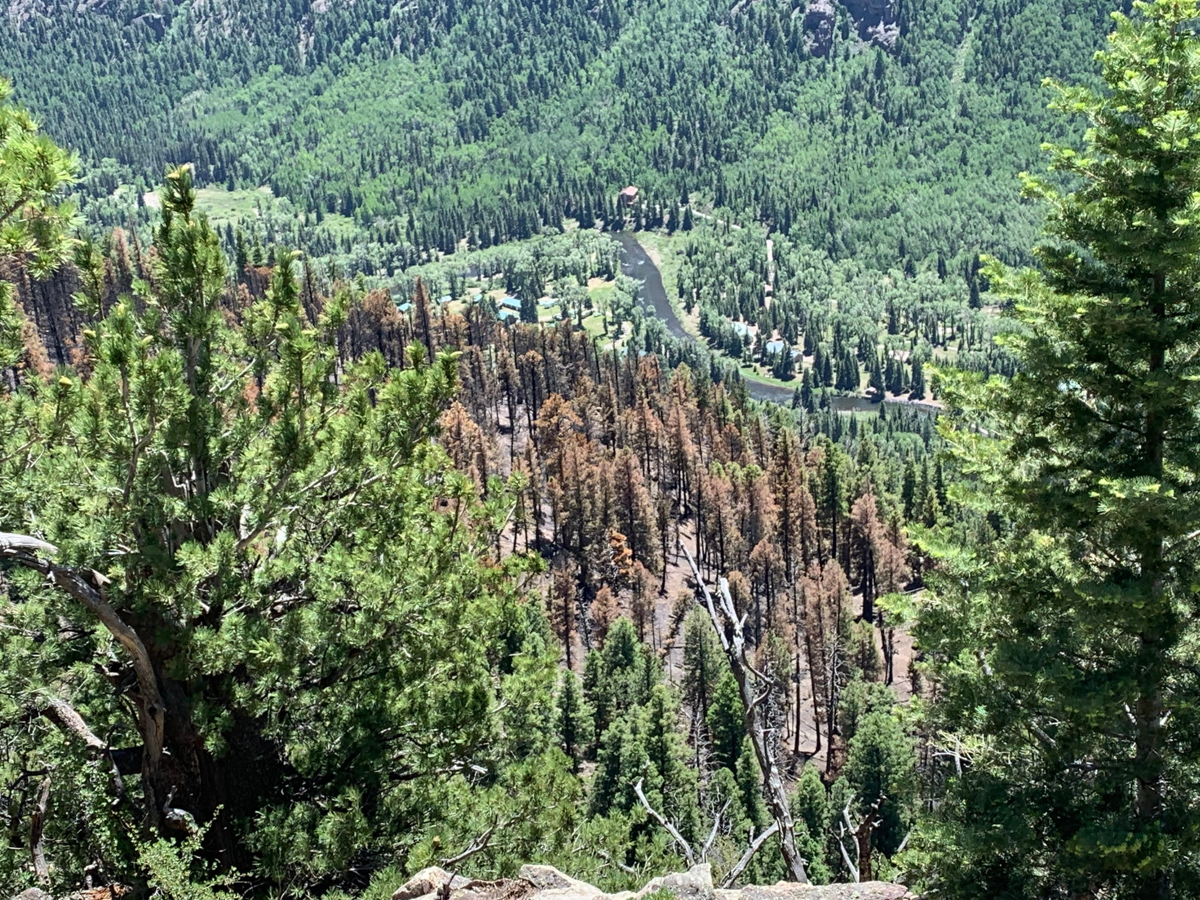 Looking down on the burned portion of the steep slow there are scorched trees. The river and some structures are seen in the valley bottom.