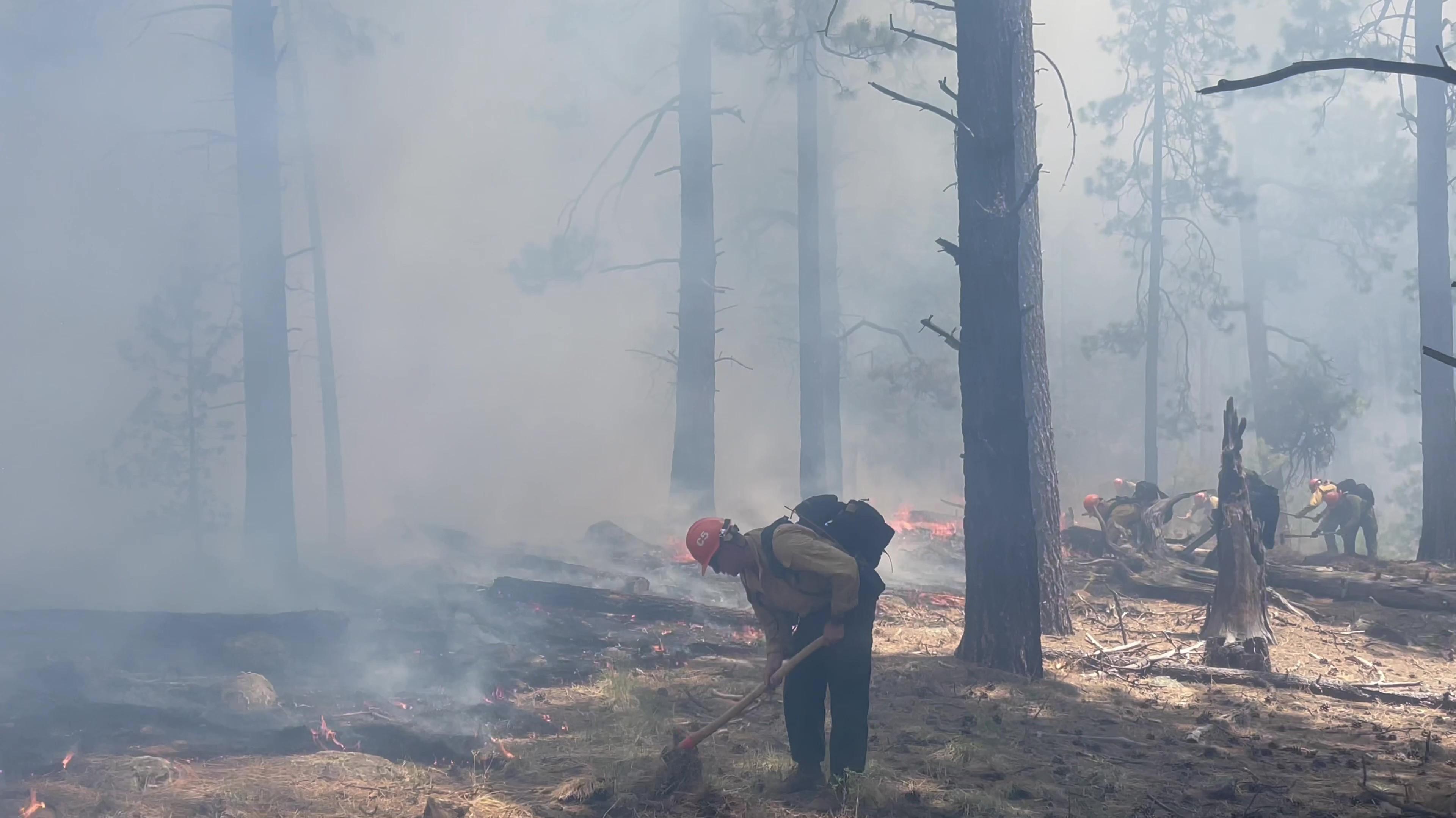 The Tujunga Hotshots dig fireline to stop the spread of the  Pipeline Fire on June 12. Photo by Tujunga Hotshots 