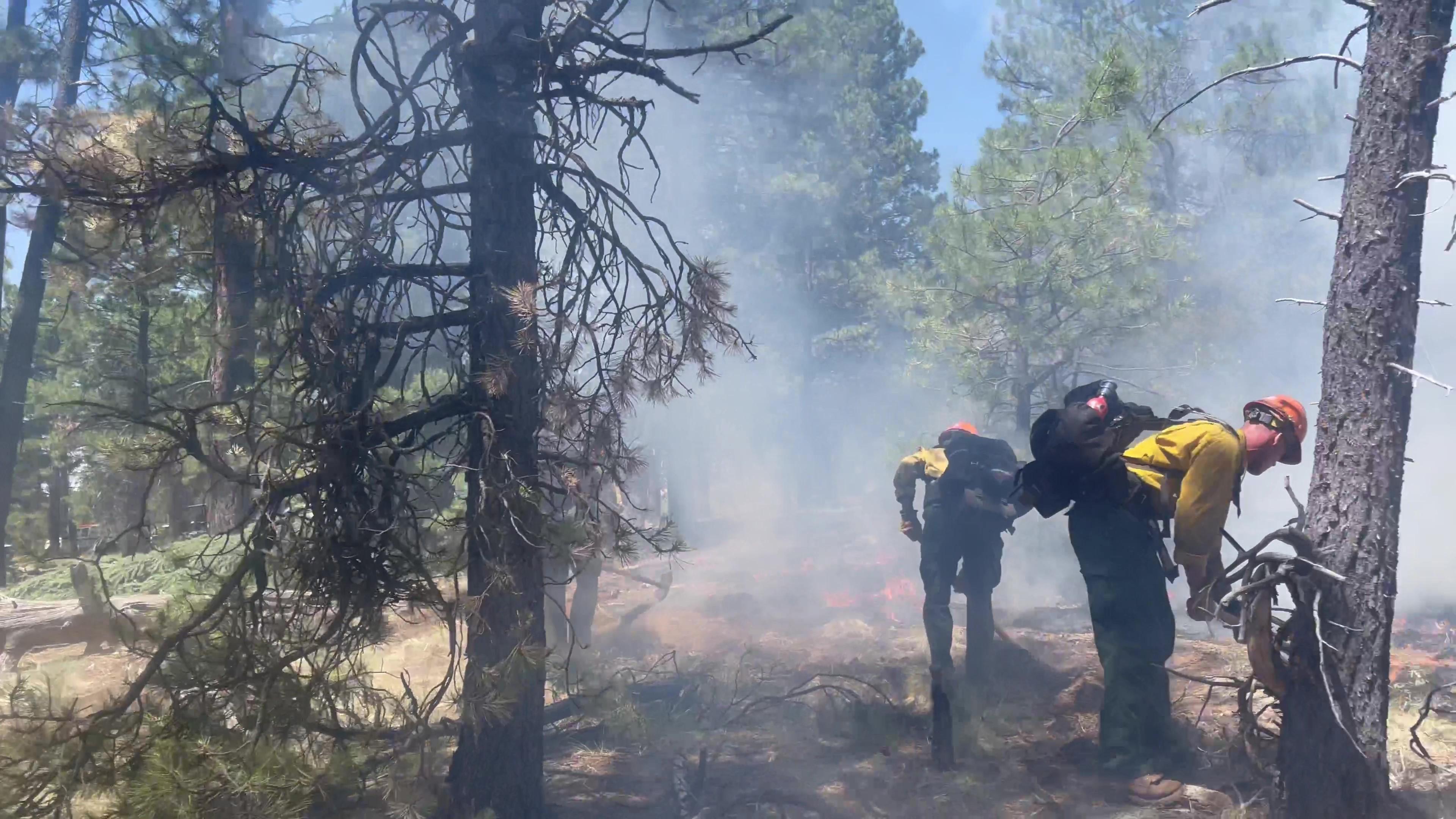 The Tujunga Hotshots dig fireline to stop the spread of the  Pipeline Fire on June 12. Photo by Tujunga Hotshots 