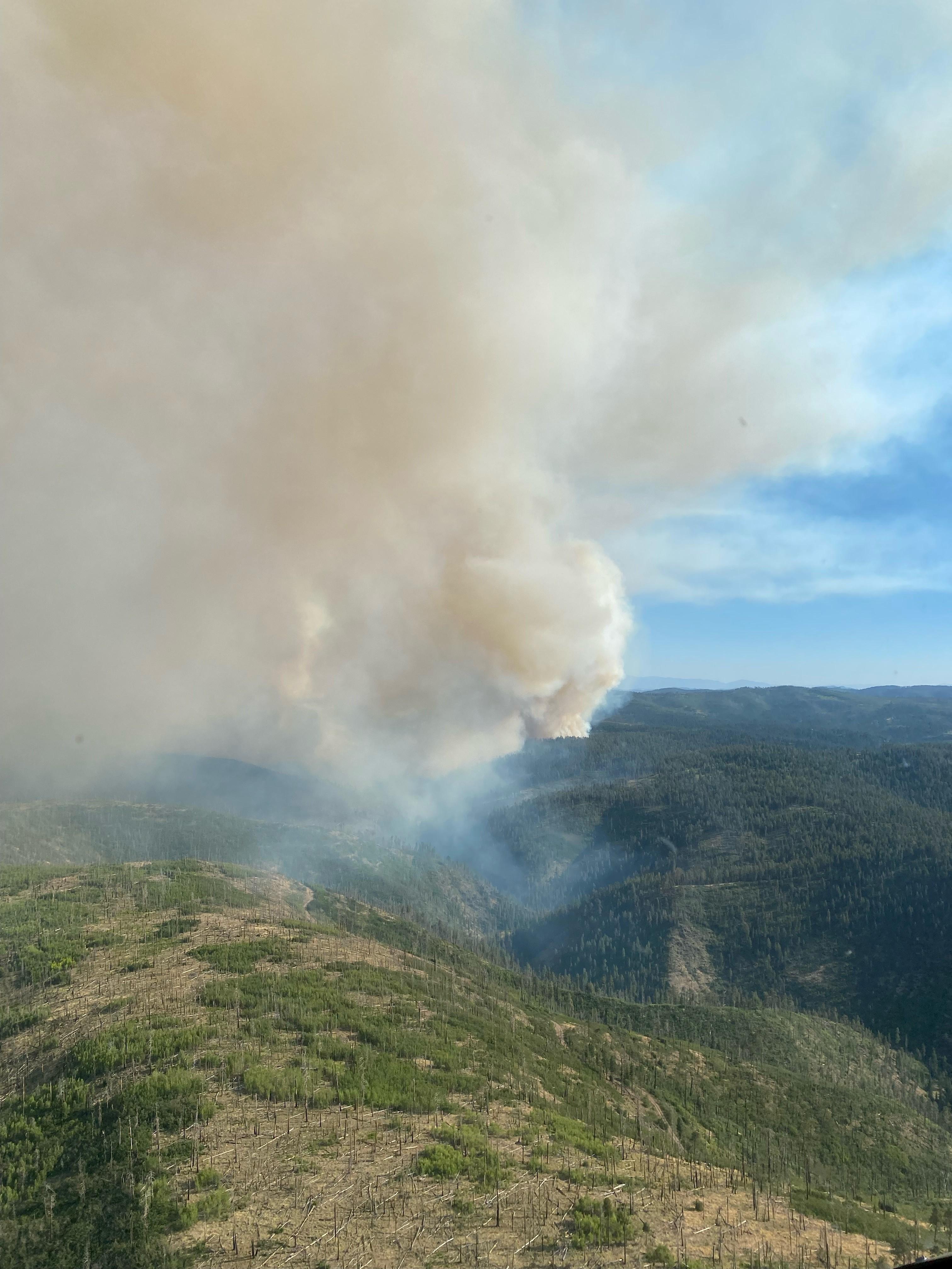 Aerial image of the Fish Fire burning snags