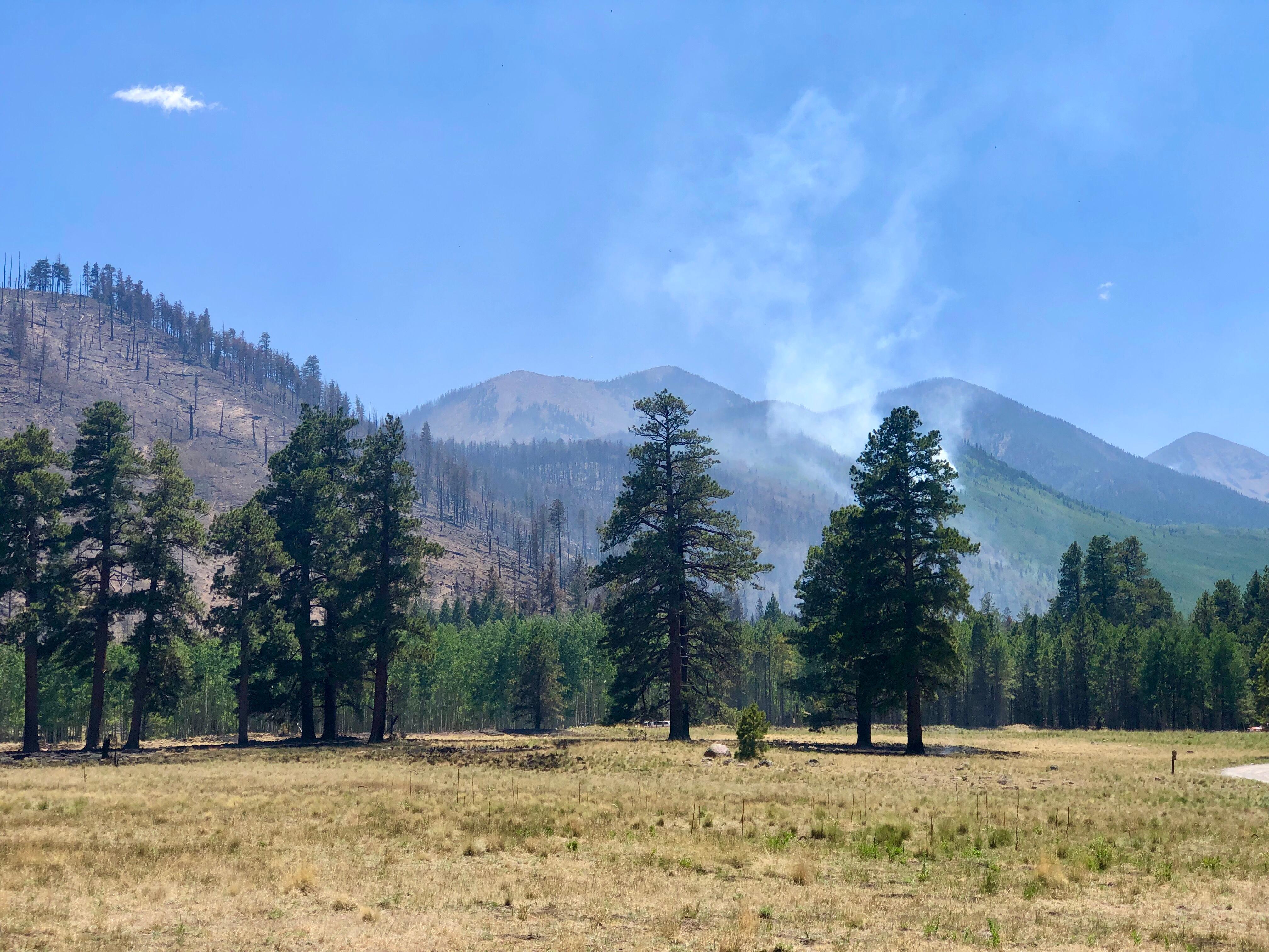 This photo is of Lockett Meadow in the Inner Basin of the San Francisco Peaks looking west towards Doyle and Fremont Peaks. This is where the campsites are in Lockett Meadow , as you can see no fire at campground. Photo taken by Matt McGrath on June 16