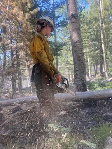 Flagstaff Hotshots Prepping and clearing handline on the fireline going from Freidlein Prairie to the top of Fremont Peak. Sawyers are  Steve Sorensen and April Eling. Photo credit to Robert Westbrook