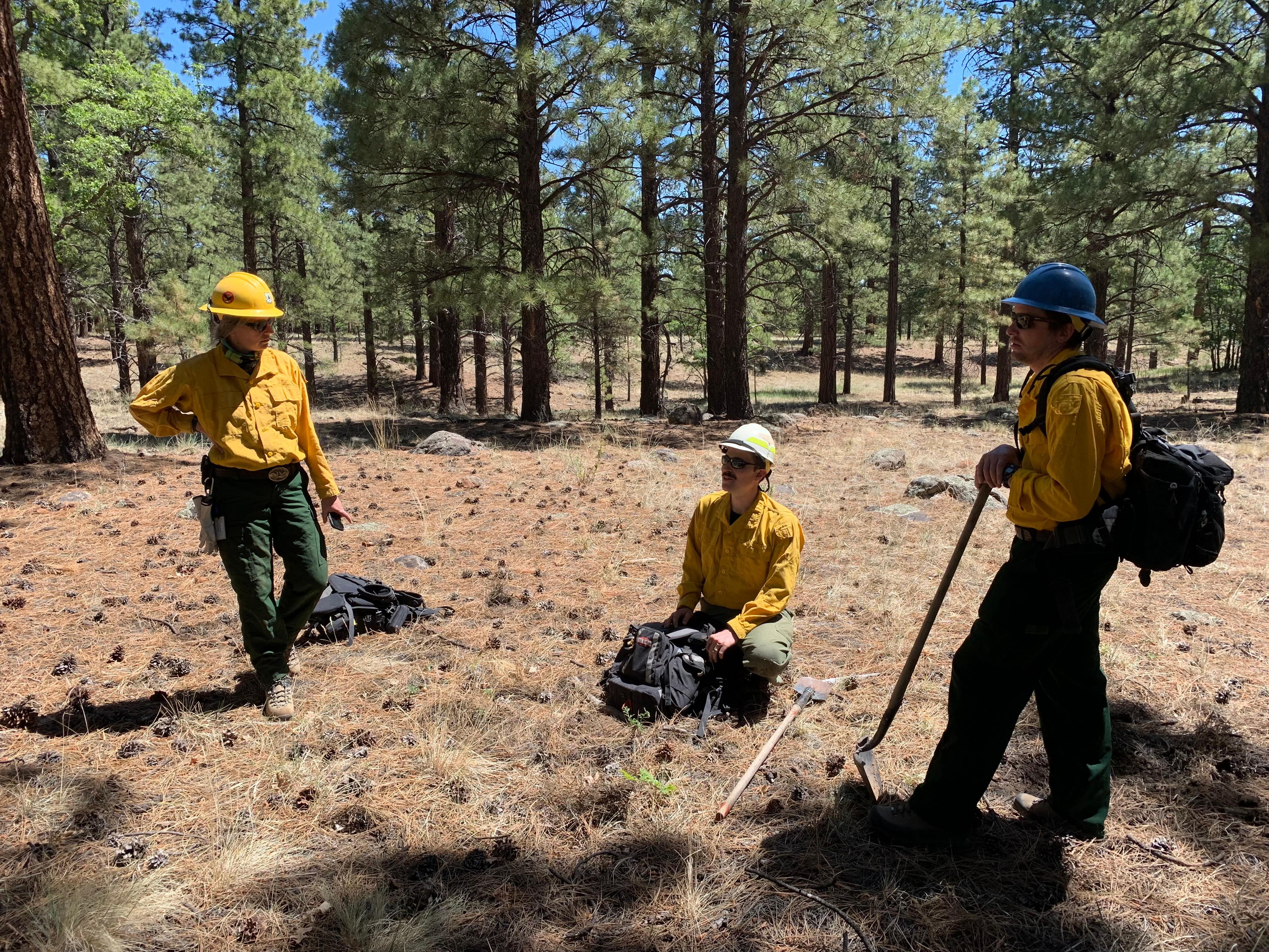 BAER Team members from left Kelly Mott Lacroix, Rob Ballard and Kyle Paffet begin a soil burn severity plot on an un burned potion of the Forest to establish an baseline for comparison of burned soils.  Photo taken June 21, 2022 by Mark Christiano-USFS.