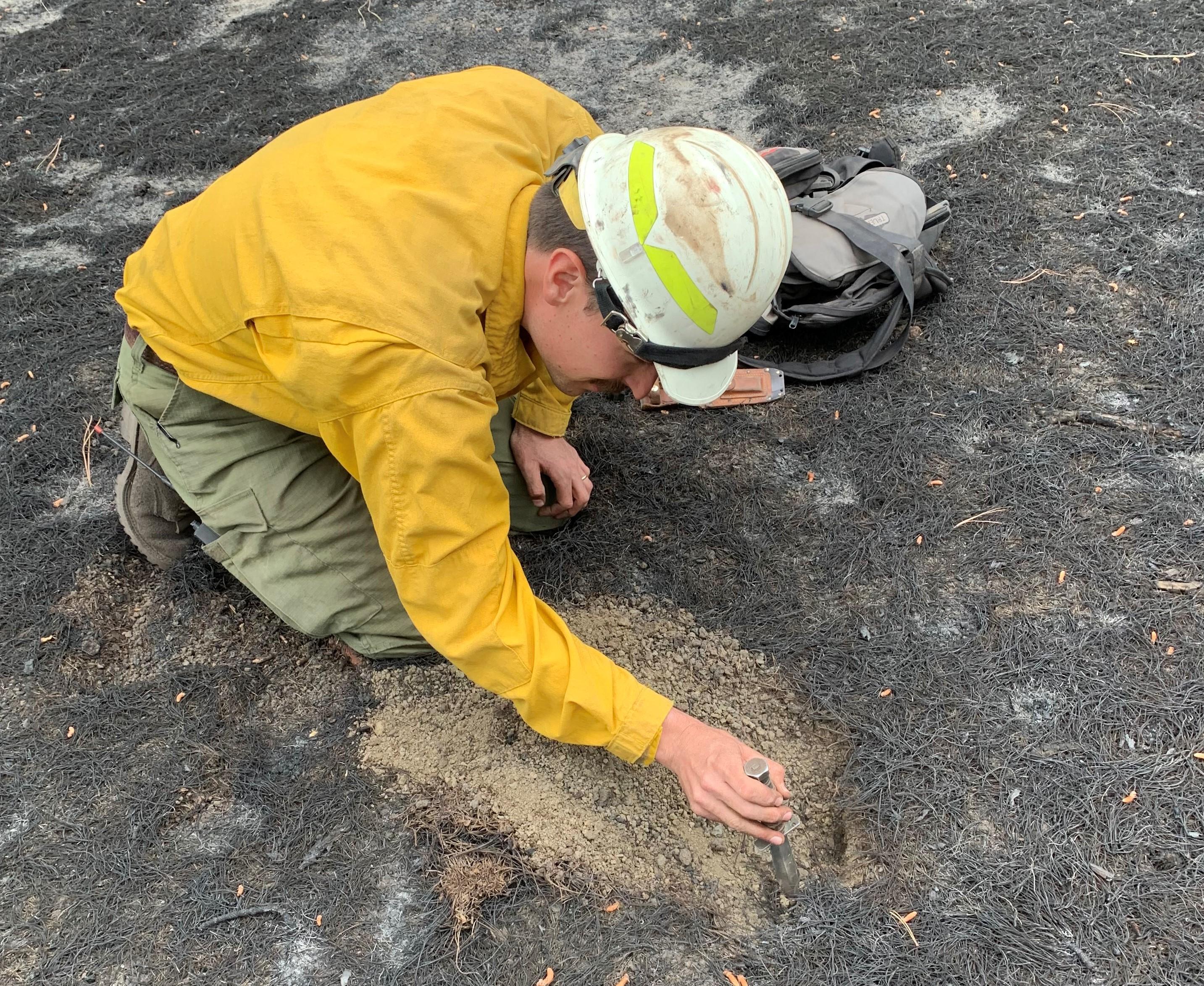 BAER Team soil scientist Rob Ballard measures the depth of the soil burn severity just east of Highway 89 near O'Leary Peak on June 22, 2022.  Photo by Mark Christiano