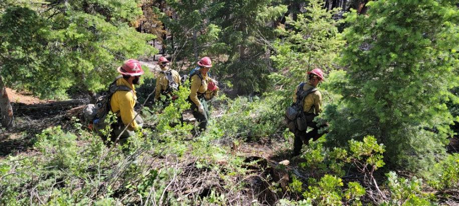 Firefighters look for an ideal fireline location.