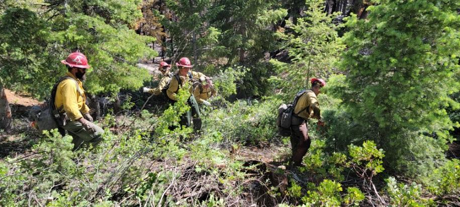 Firefighters look for an ideal fireline location.