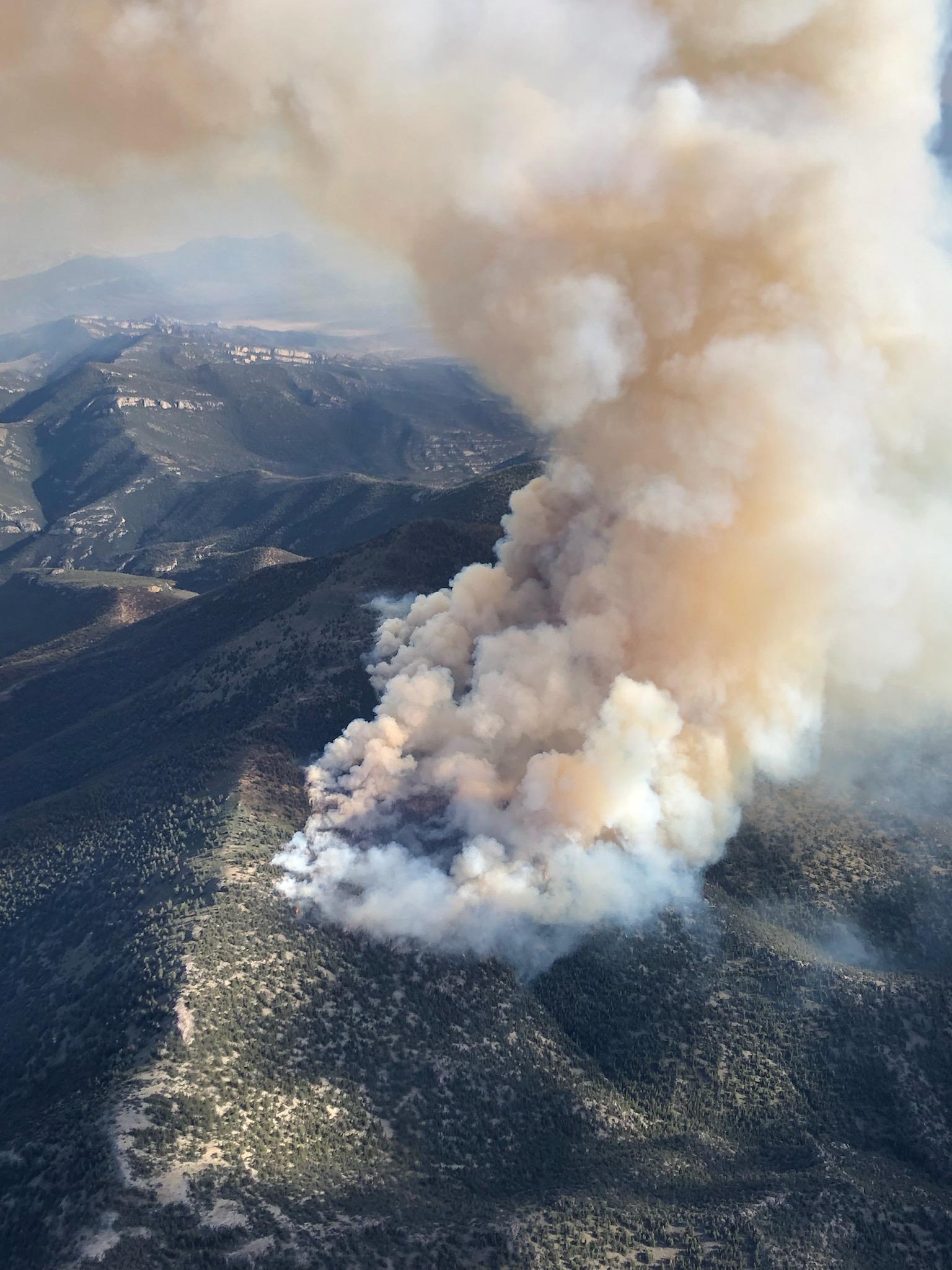 Photo of the Goshute Fire