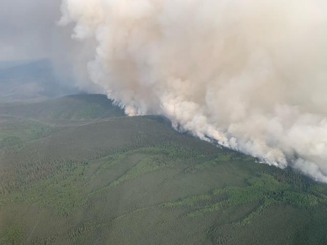 Minto Lakes Fire above Washington Cr 6/28