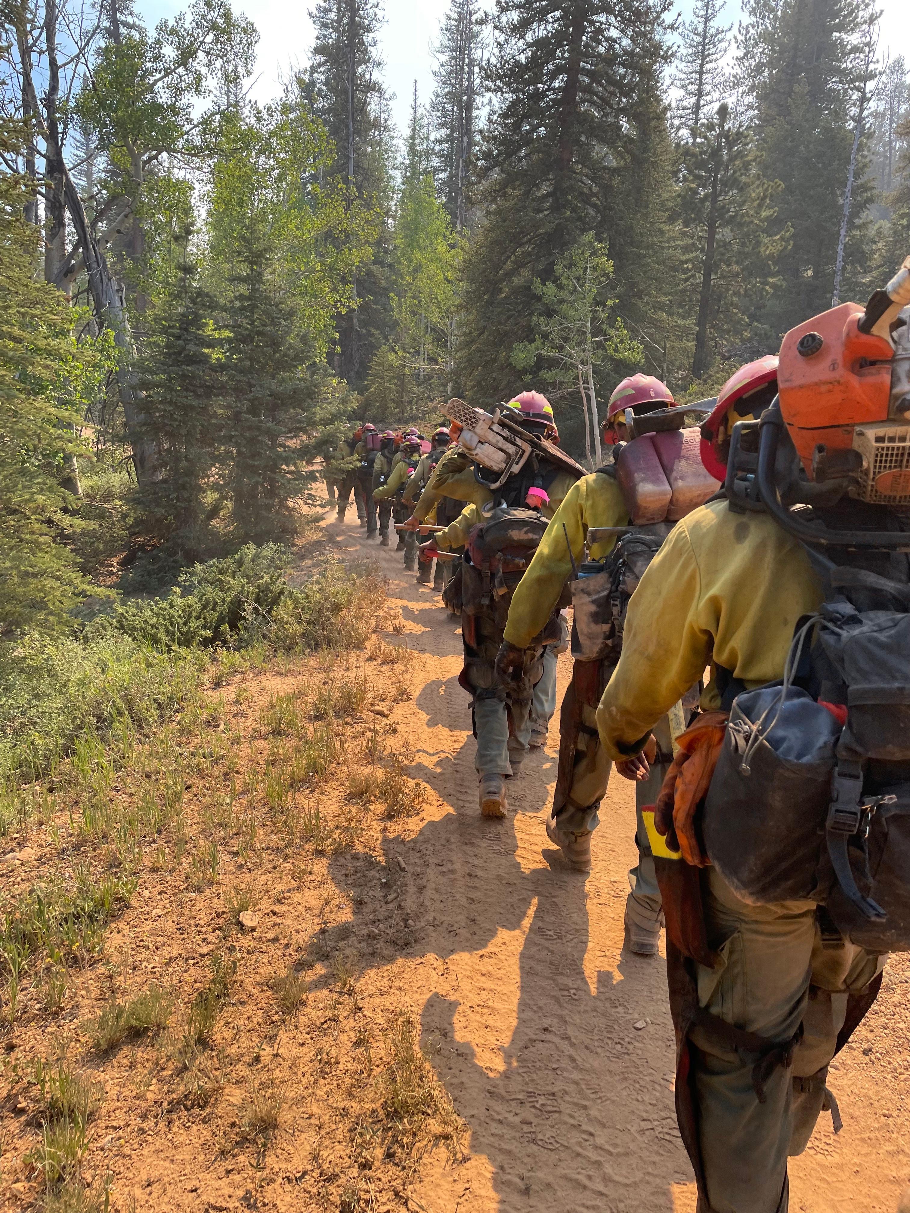 A crew of firefighters hike along a dirt road.