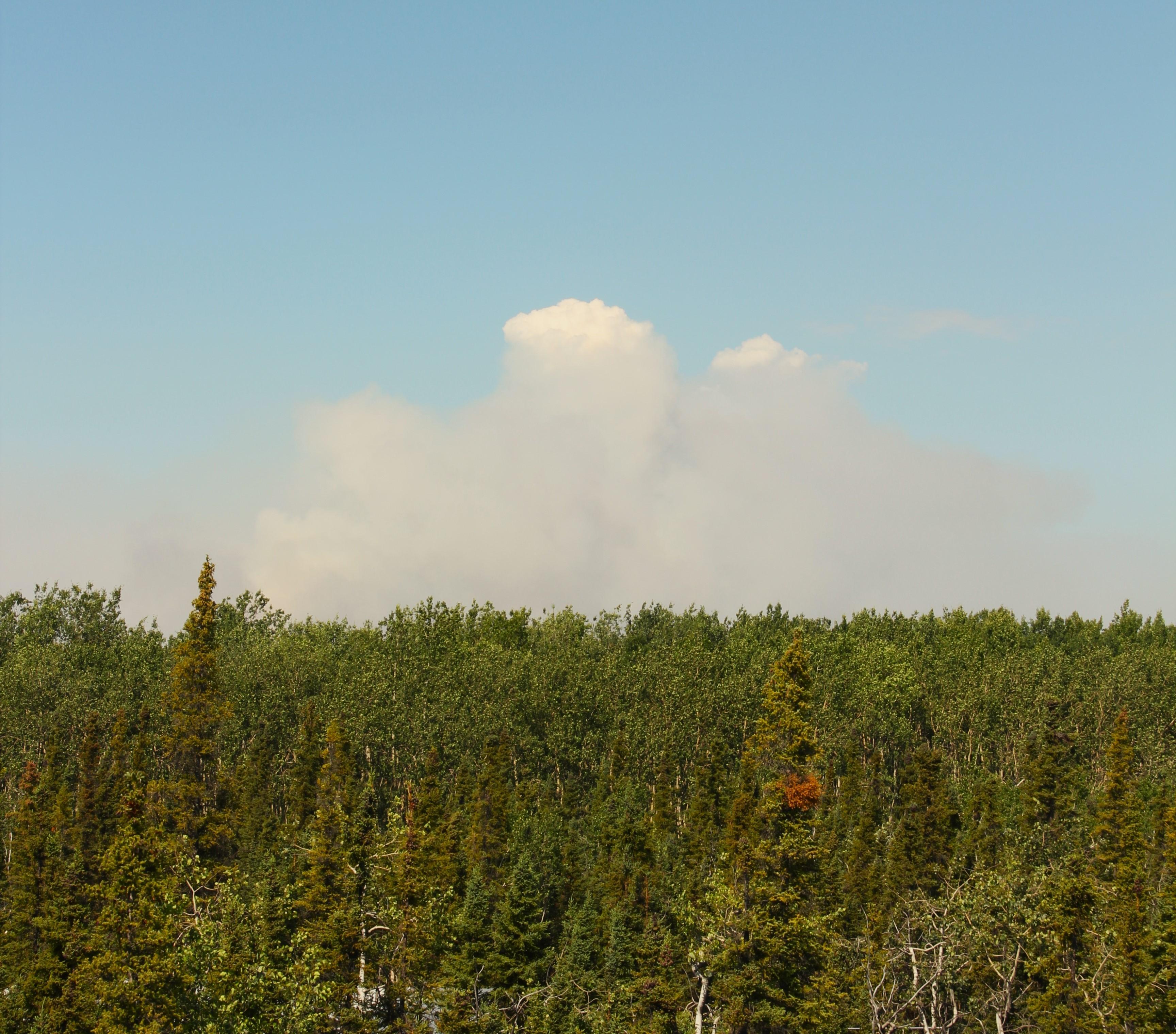 Smoke over the Clear Fire as seen from Park Hwy on July 1 2022