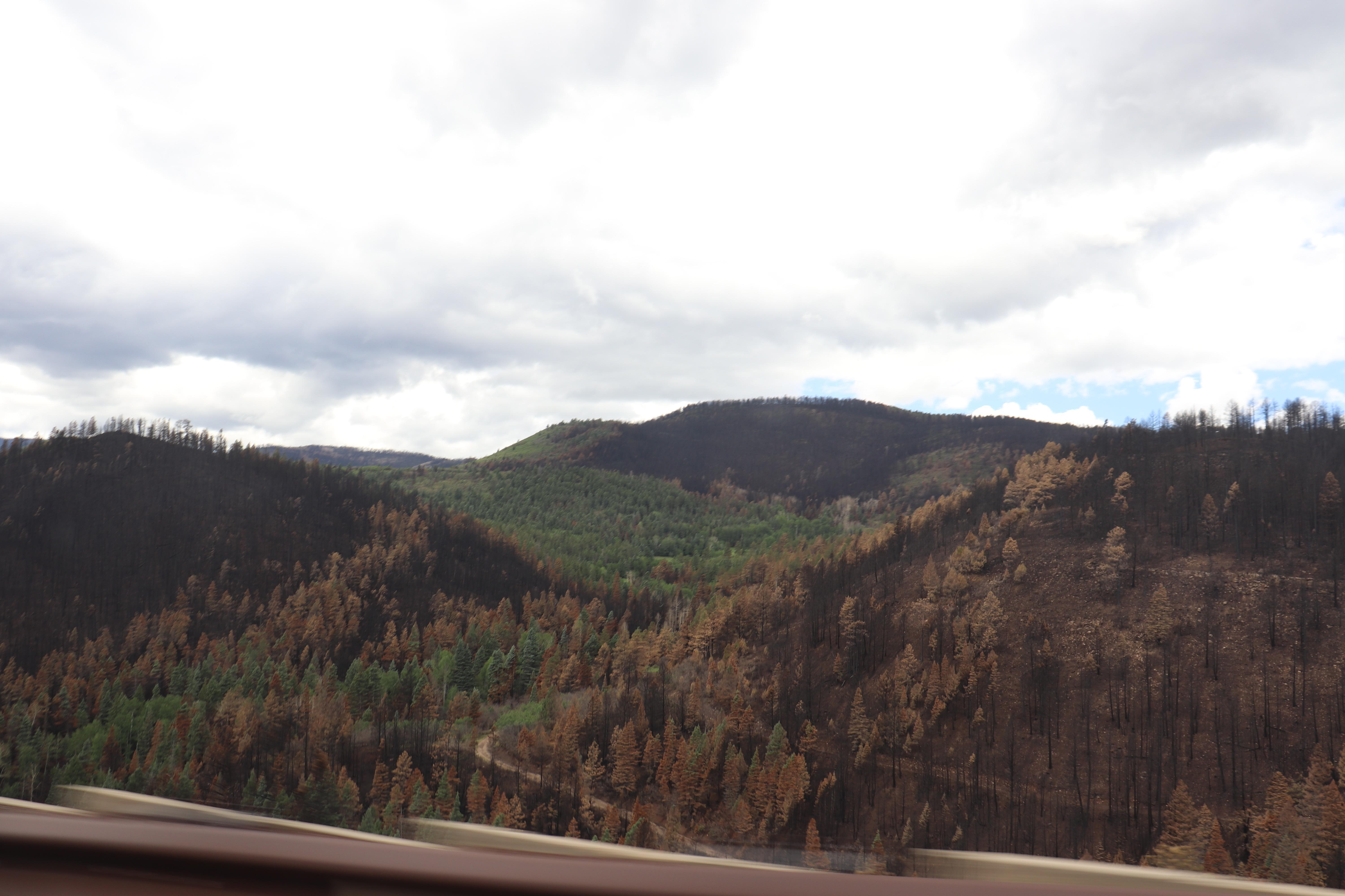 View from Highway 434 of where fire burned,mosaic some trees burned some green, green on mountain from recent  rains