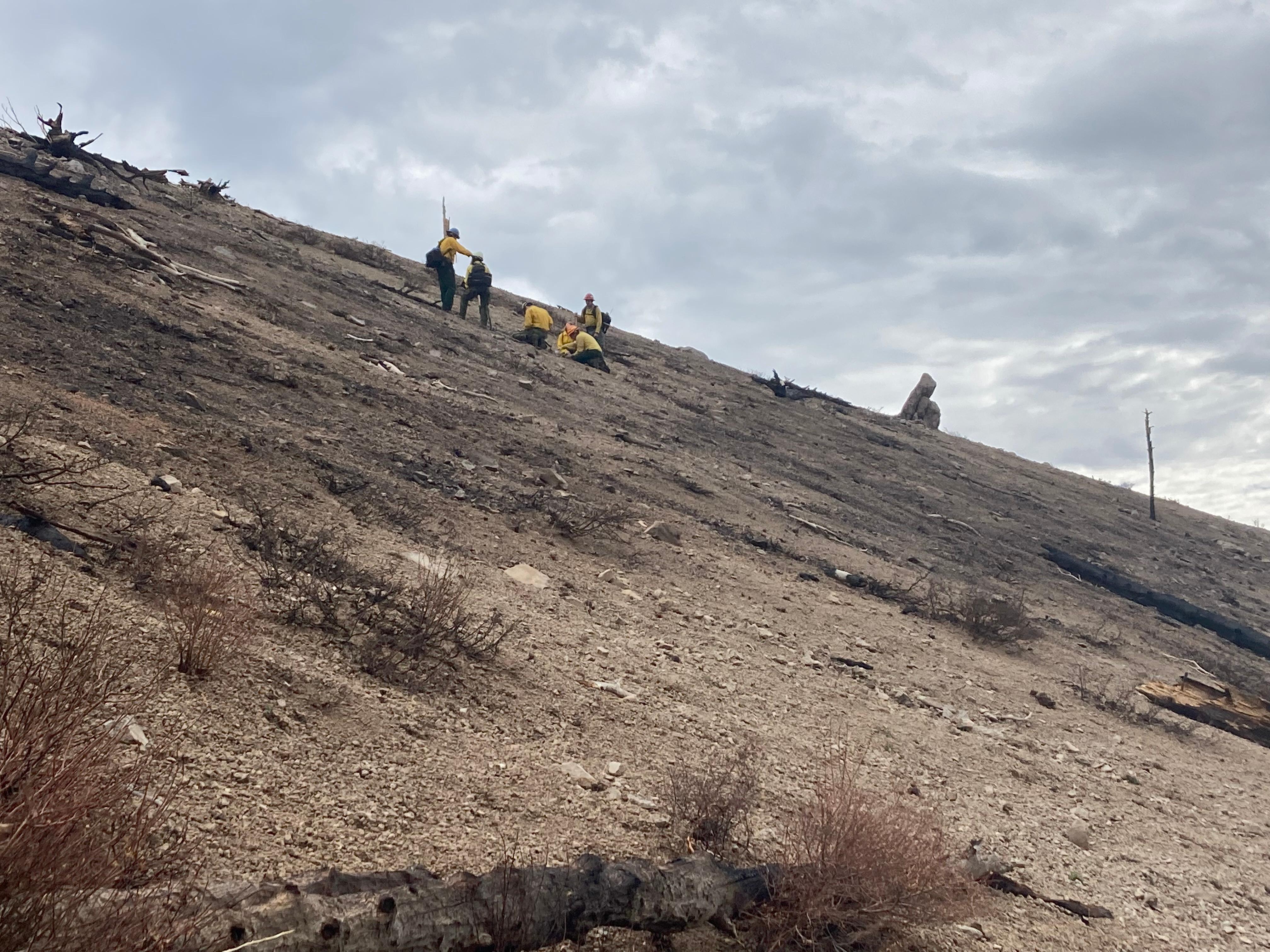 BAER scientists assess soil productivity within the Schultz Fire burn scar in the Pipeline Fire to assess need for post fire treatment on July 2nd, 2022.  Photo by Dick Fleishman USFS