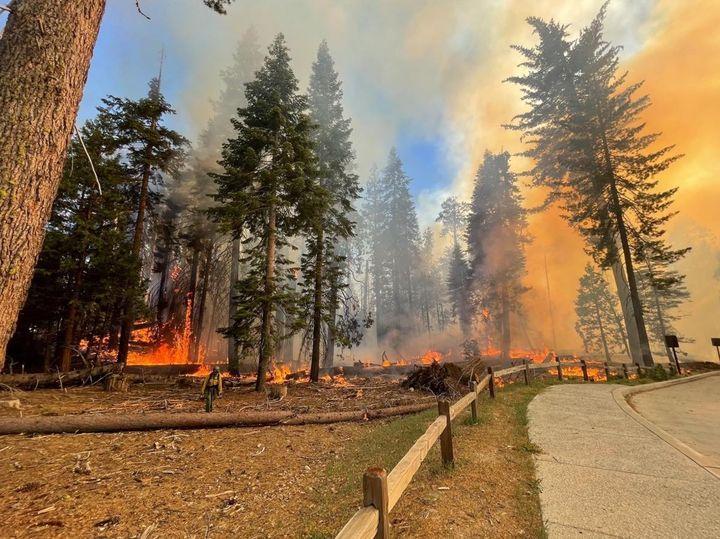 Smoke and flames are visible near a road in Yosemite National Park.