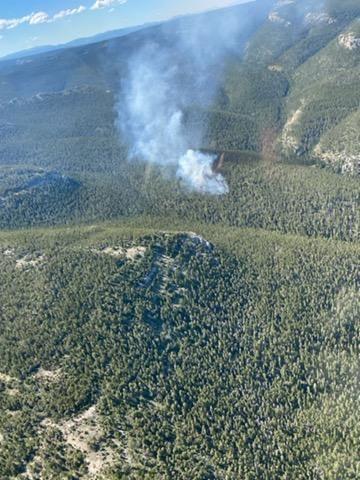 Aerial shot showing smoke rising from forest