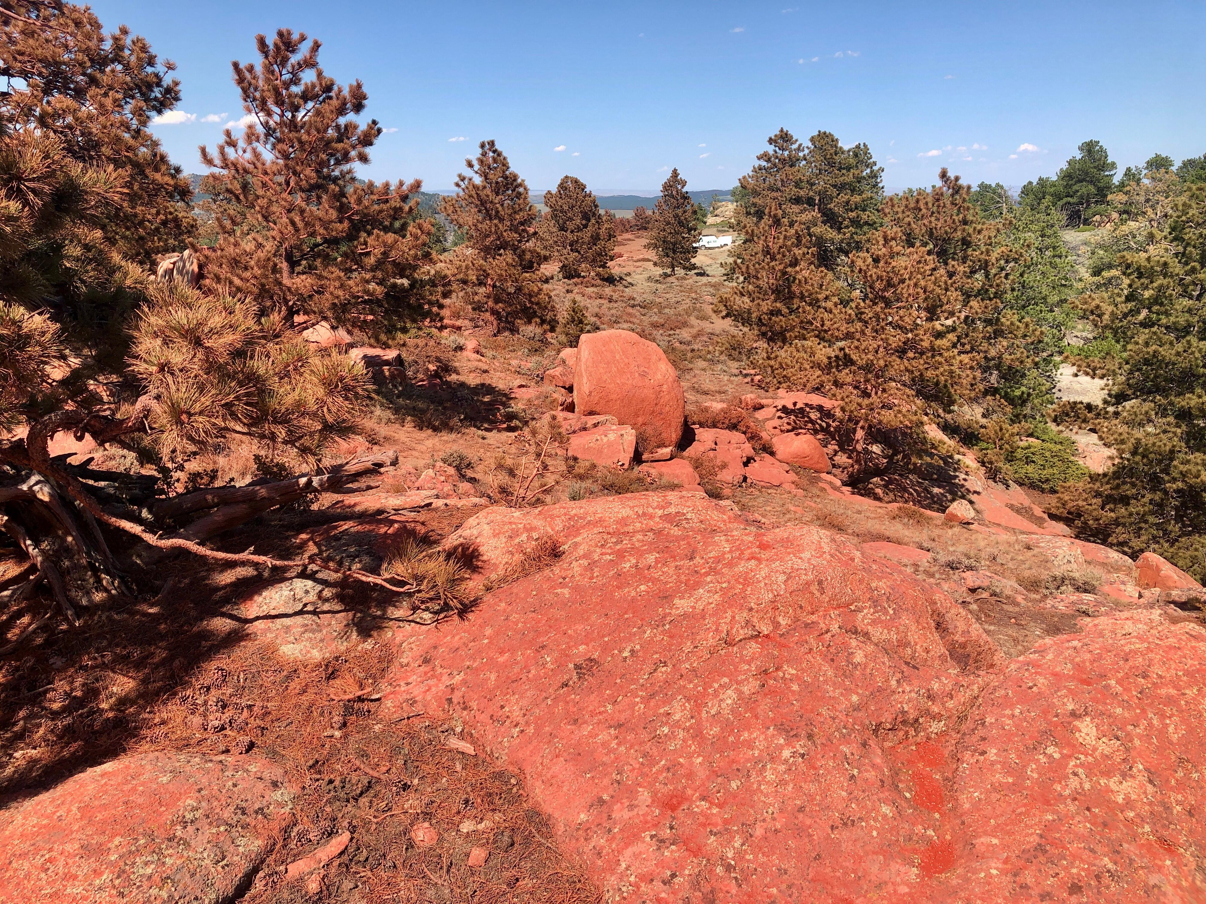 Wyoming high desert landscape including pine, juniper, sage, grass, and boulders, is covered in red fire retardant.