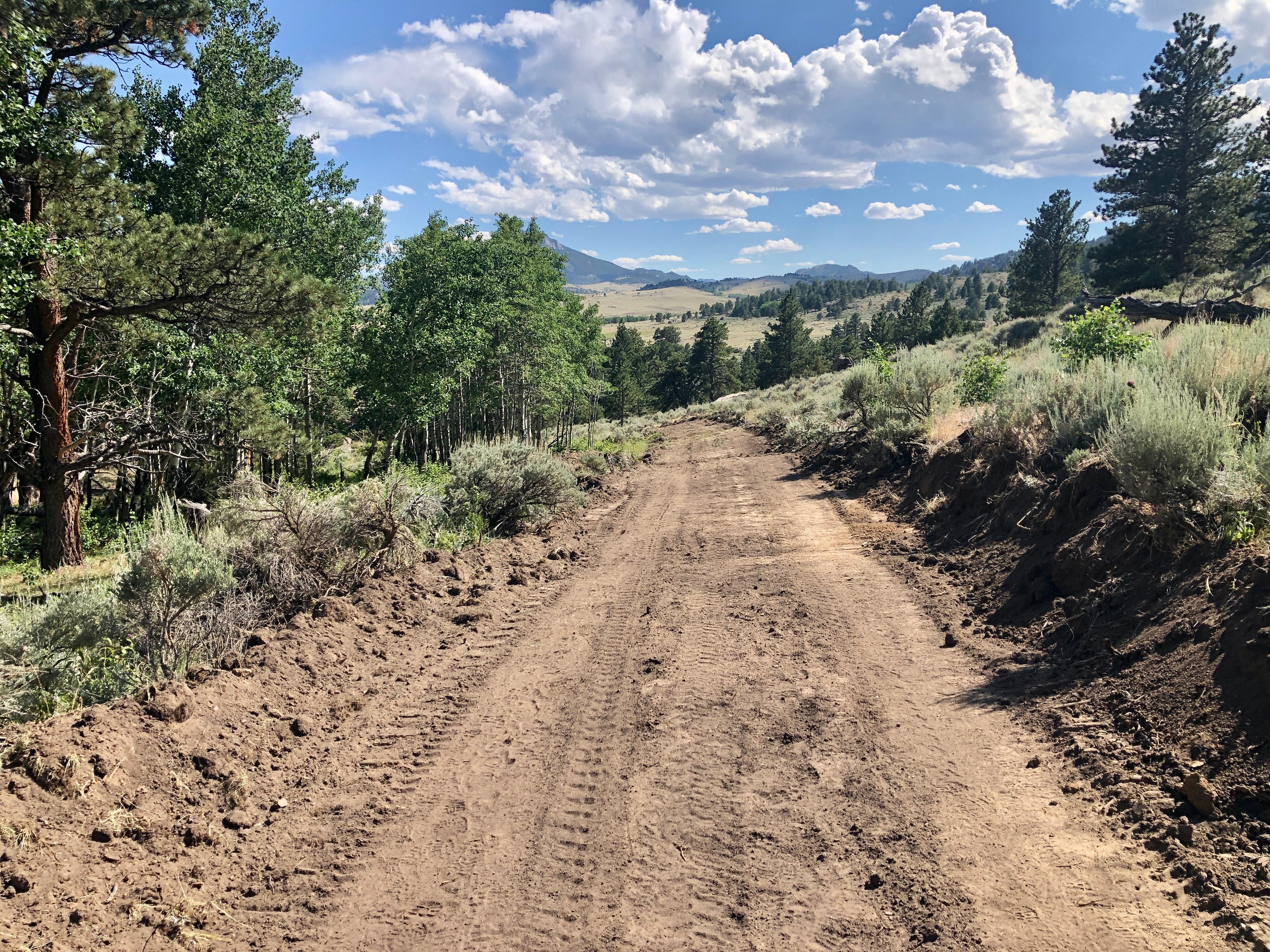 Dozer line cuts through thick vegetation leaving an eight foot wide tract of bare soil. On the left of the dozer line is thick pine and aspen forest and sage. On the right is thick sage brush. The background contains the Laramie Mountains.