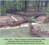 Image showing Flash Flooding & Large Vegetative Debris Over Road on 7-1-22 taken by NWS Andrew Mangham