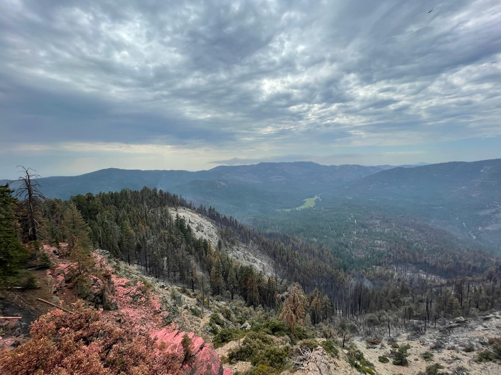 This image shows a mosiac of burned and unburned timber looking down onto Wawona from a high overlook