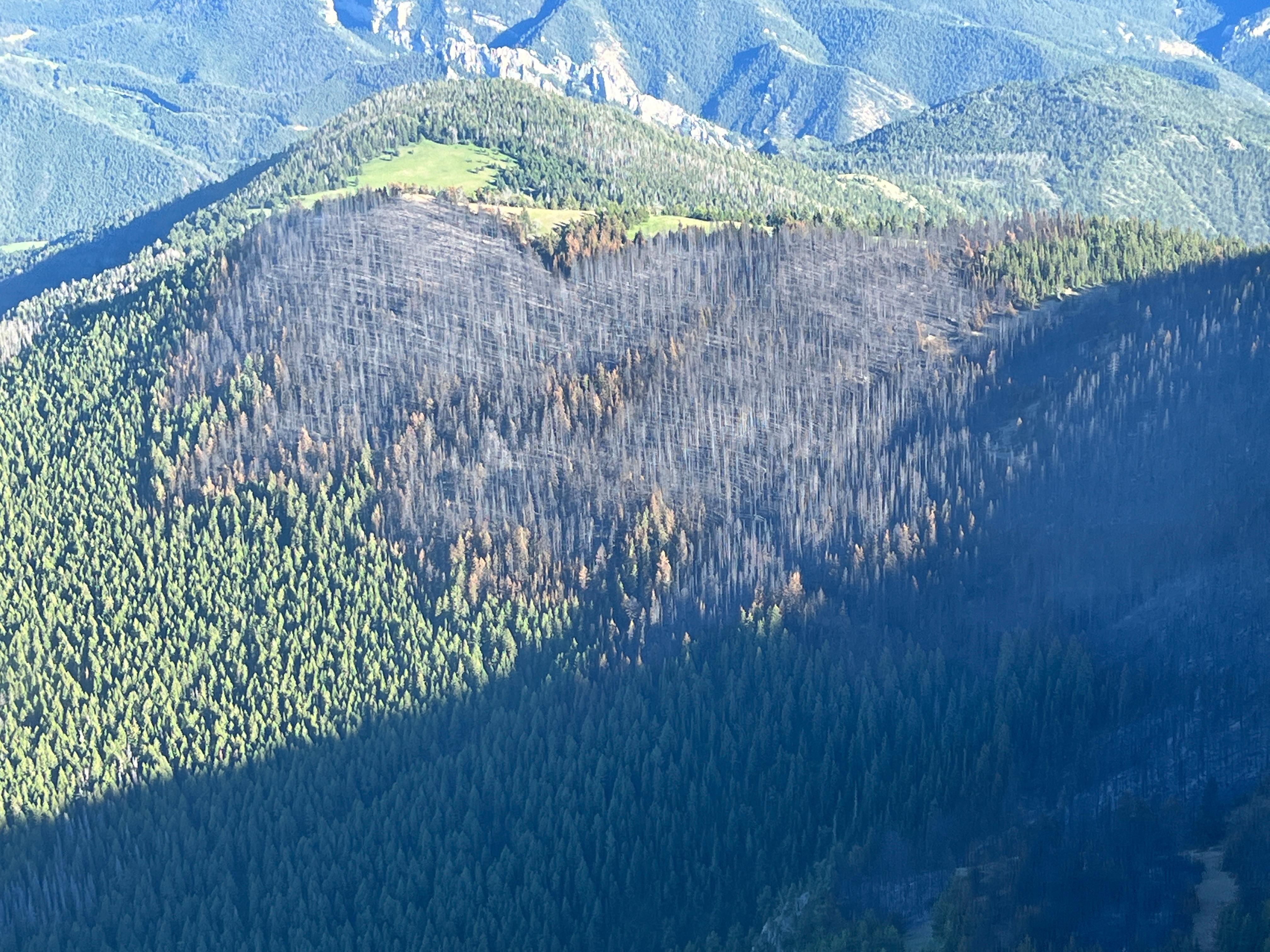 Aerial view of the Moors Mountain Fire on July 20, 2022
