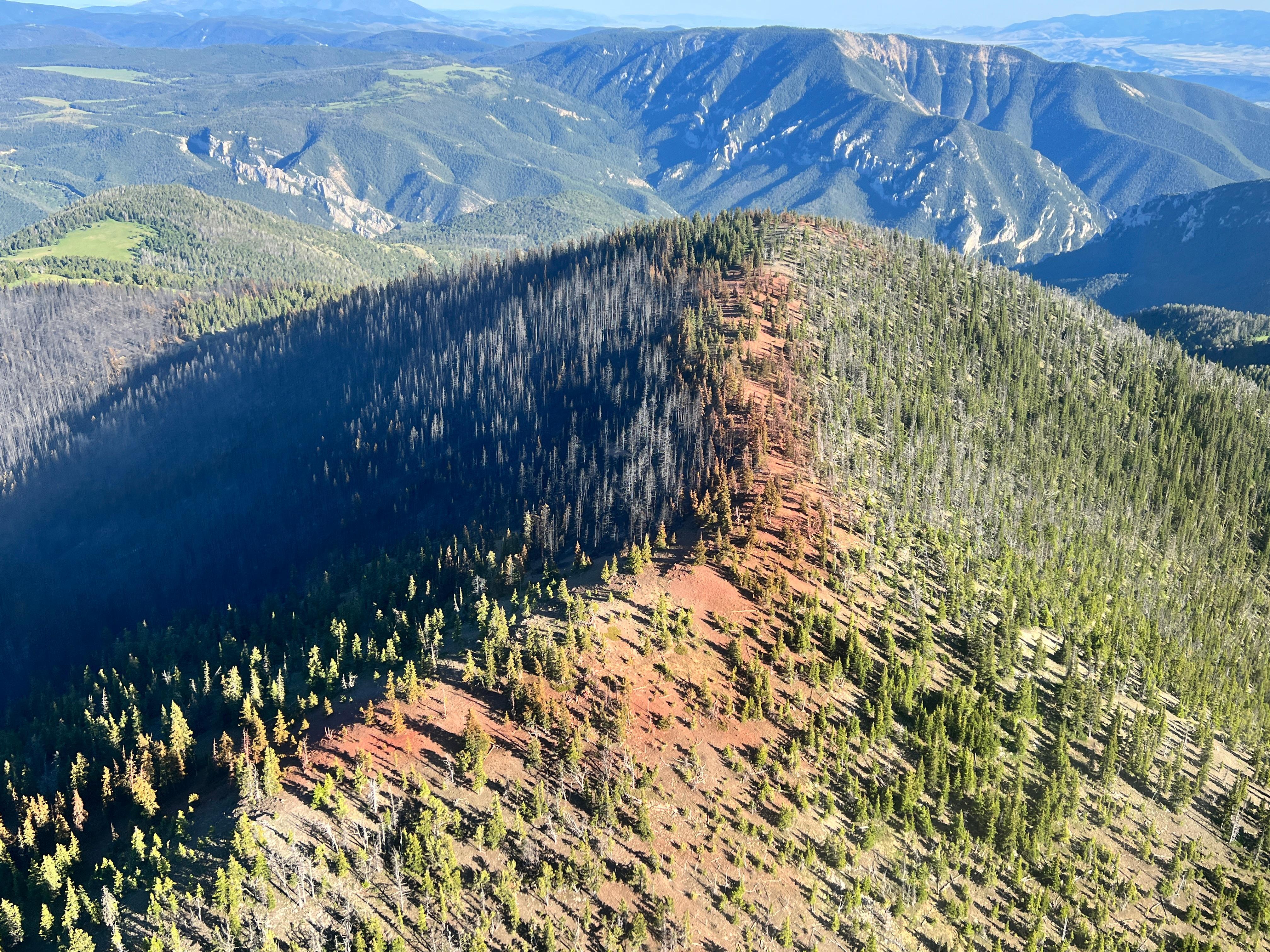 Aerial view of the retardant line on Moors Mountain