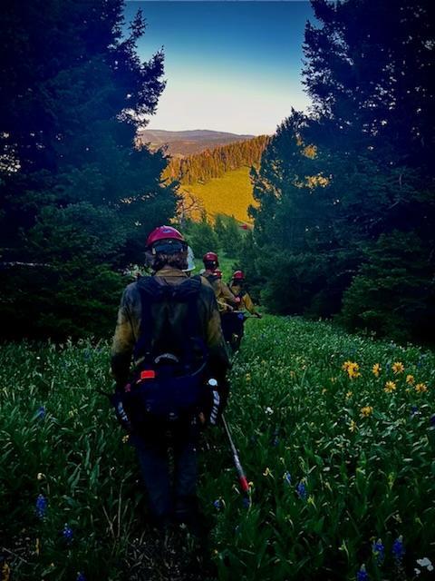Grayback Forestry crew hikes through wildflowers on their way back to spike camp