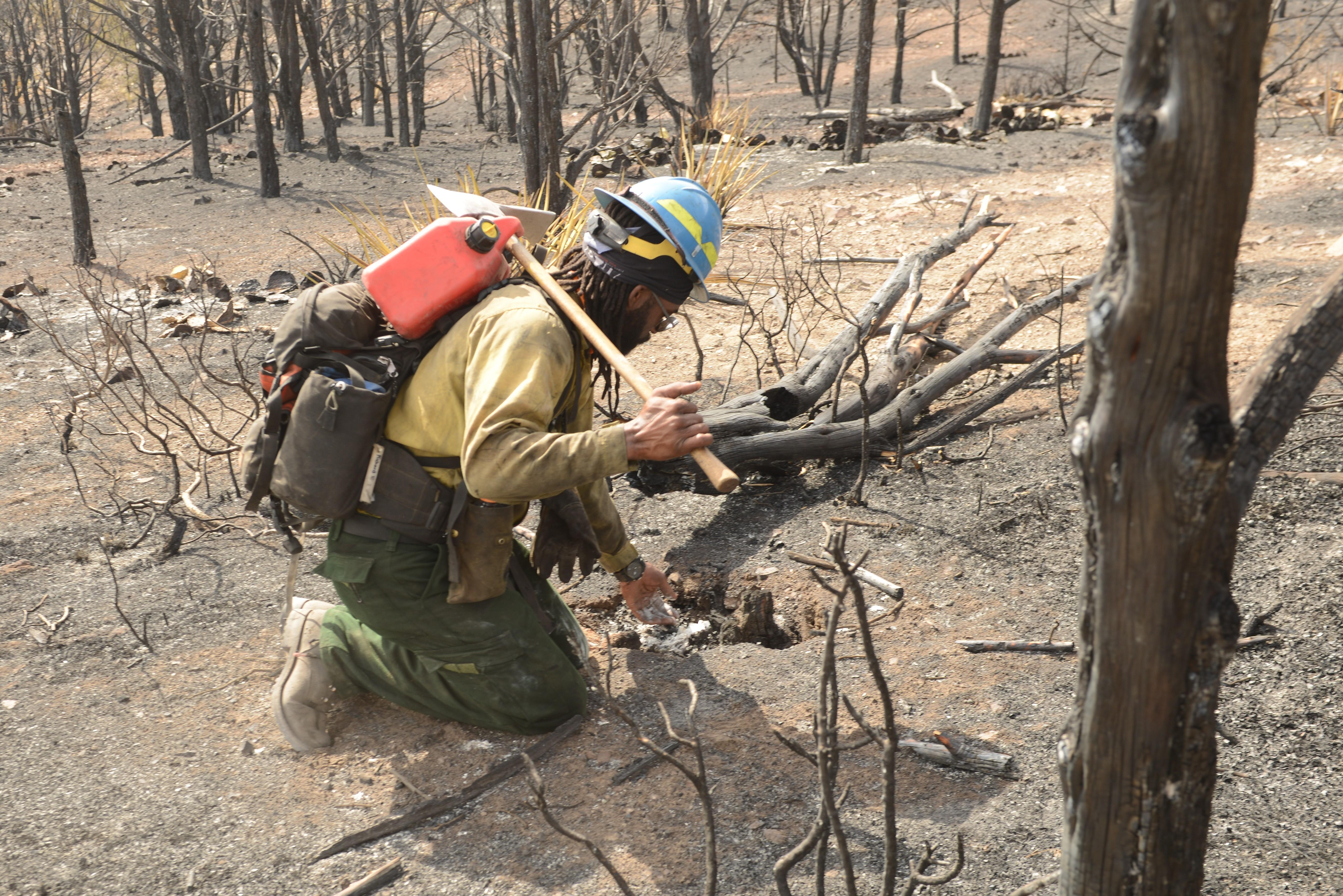 Wildland firefighters perform mop up and cold trailing. Cold trailing involves carefully inspecting and feeling with bare hands to detect any fire, digging out and extinguishing every hot spot, and even building new fireline around any live edges.