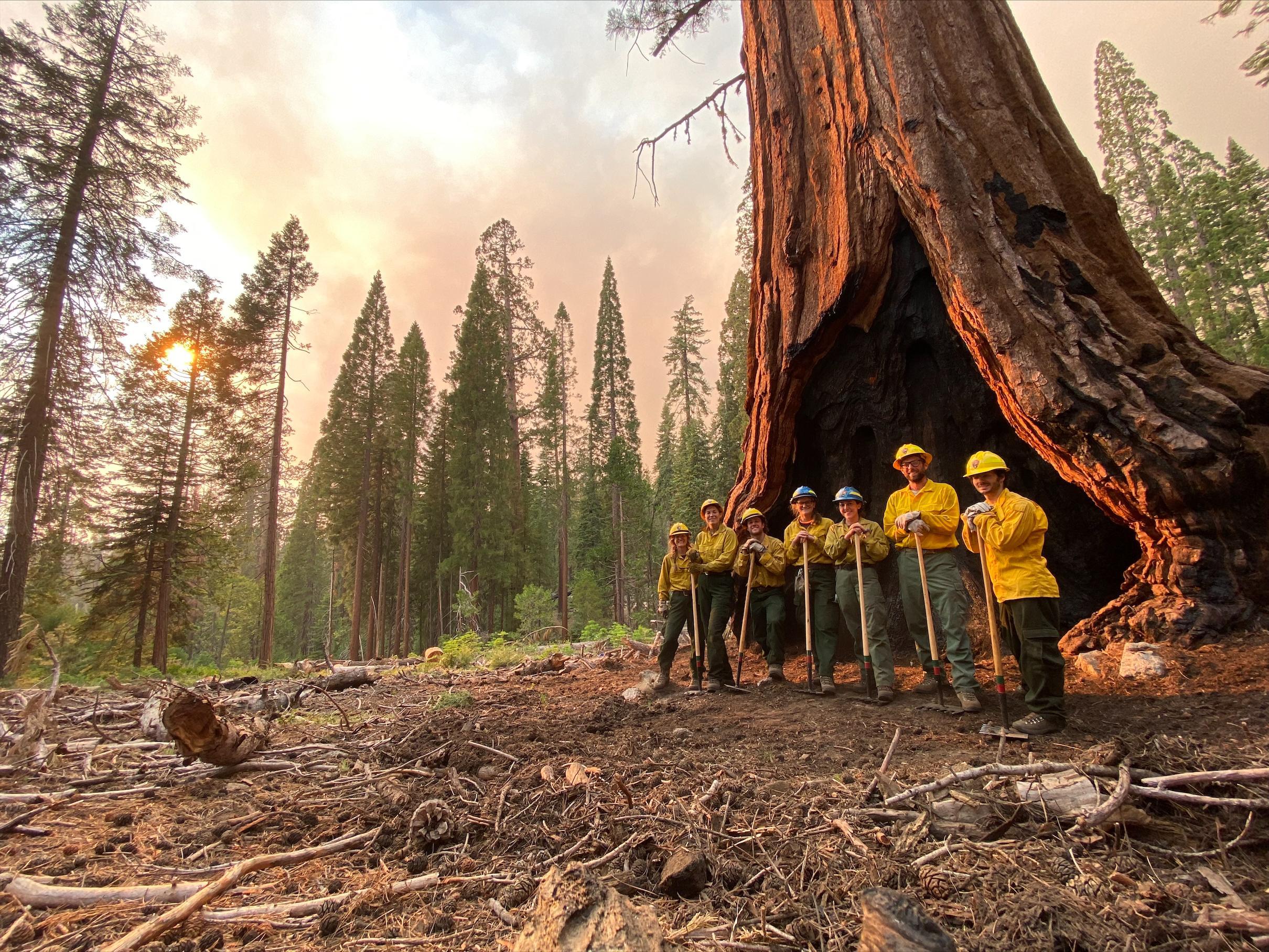 Crew of resource advisors pose in front of giant sequoia tree after assisting fire personnel in fuels mitigation around the giant beauties. 