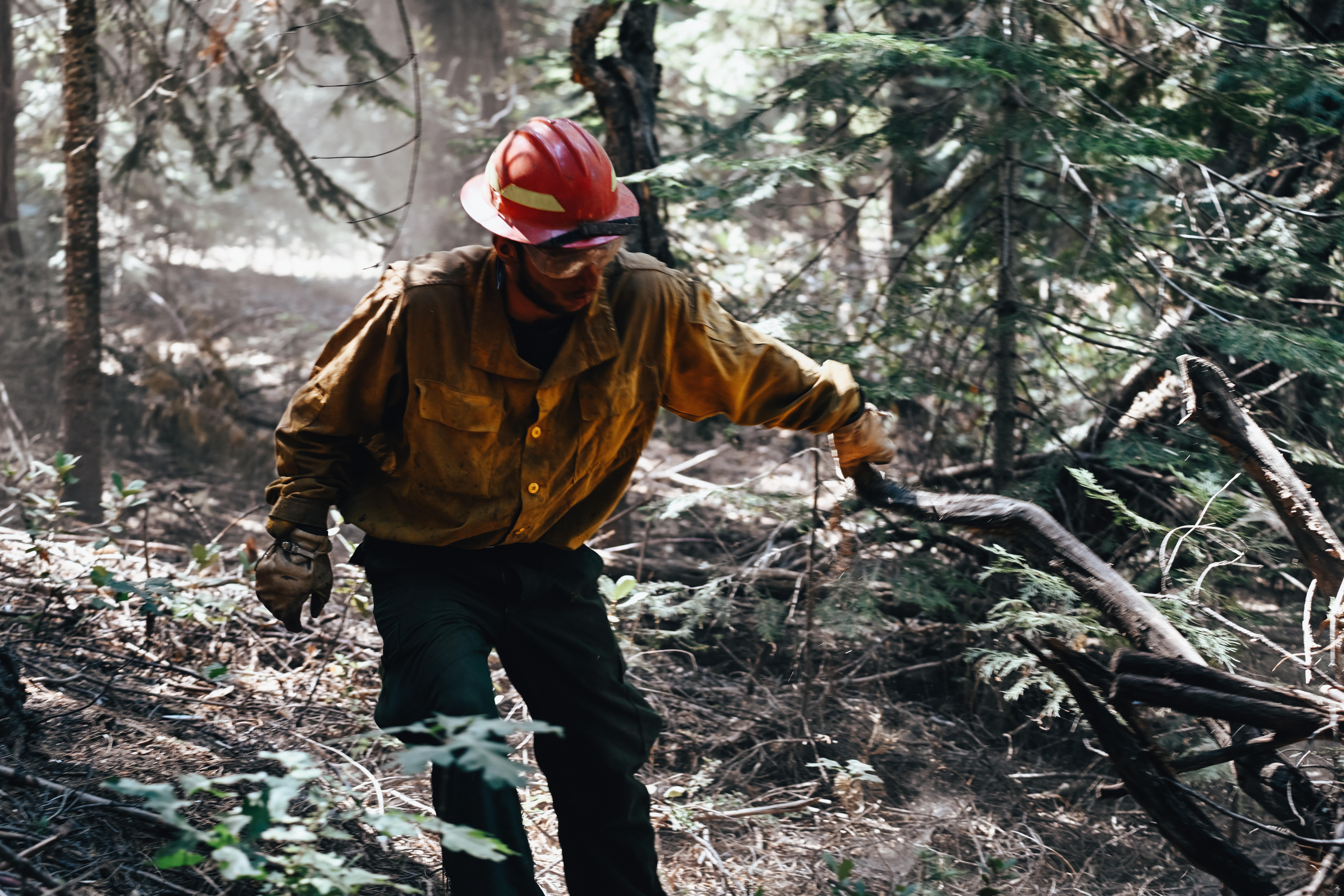 Crews with the Los Padres National Forest perform suppression repair operation, July 24, 2022 in the Long Meadow area of the Sierra National Forest. With the Washburn Fire nearly 80 percent contained, efforts are turning towards back-hauling, repair 