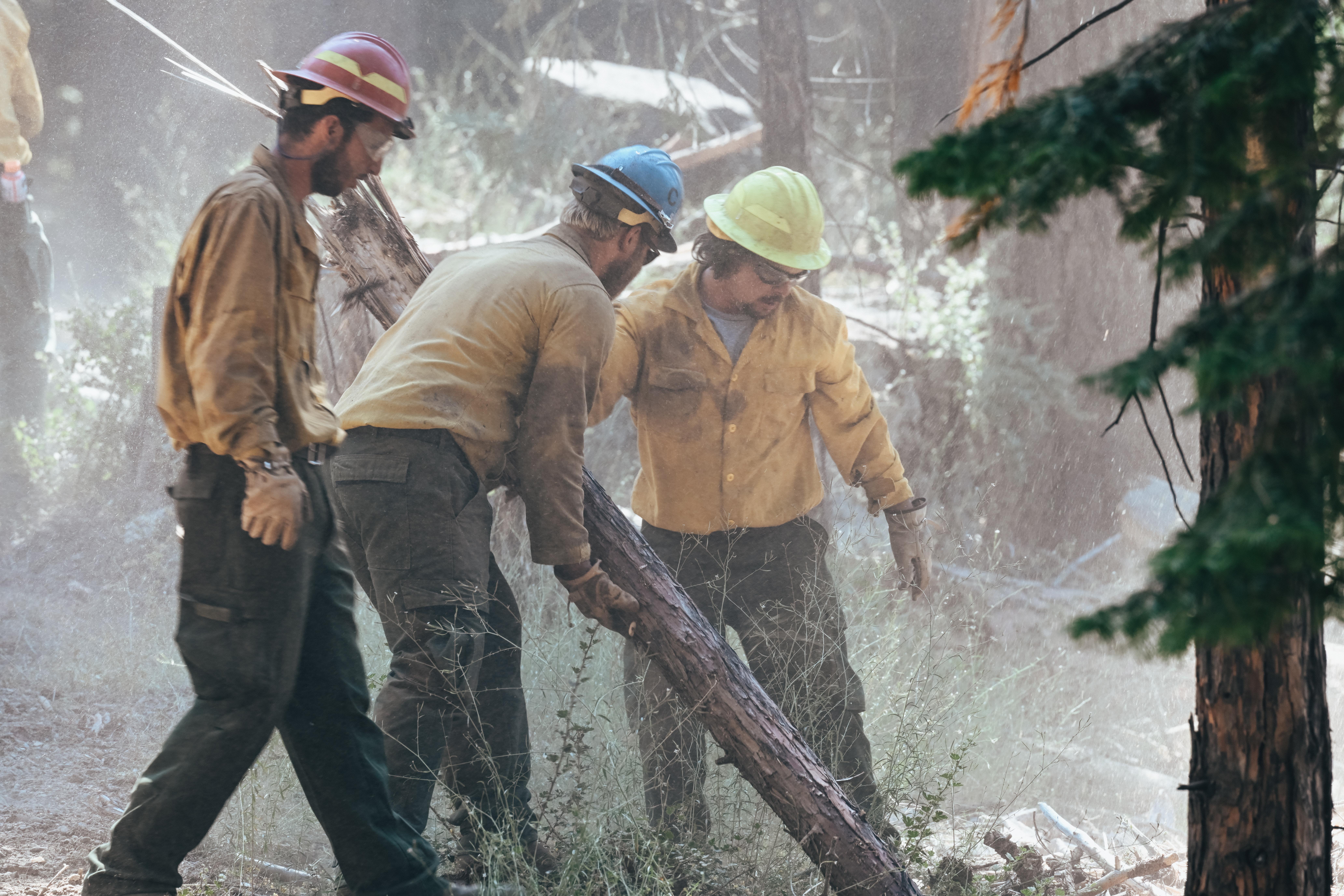Crews with the Los Padres National Forest perform suppression repair operation, July 24, 2022 in the Long Meadow area of the Sierra National Forest. With the Washburn Fire nearly 80 percent contained, efforts are turning towards back-hauling, repair 