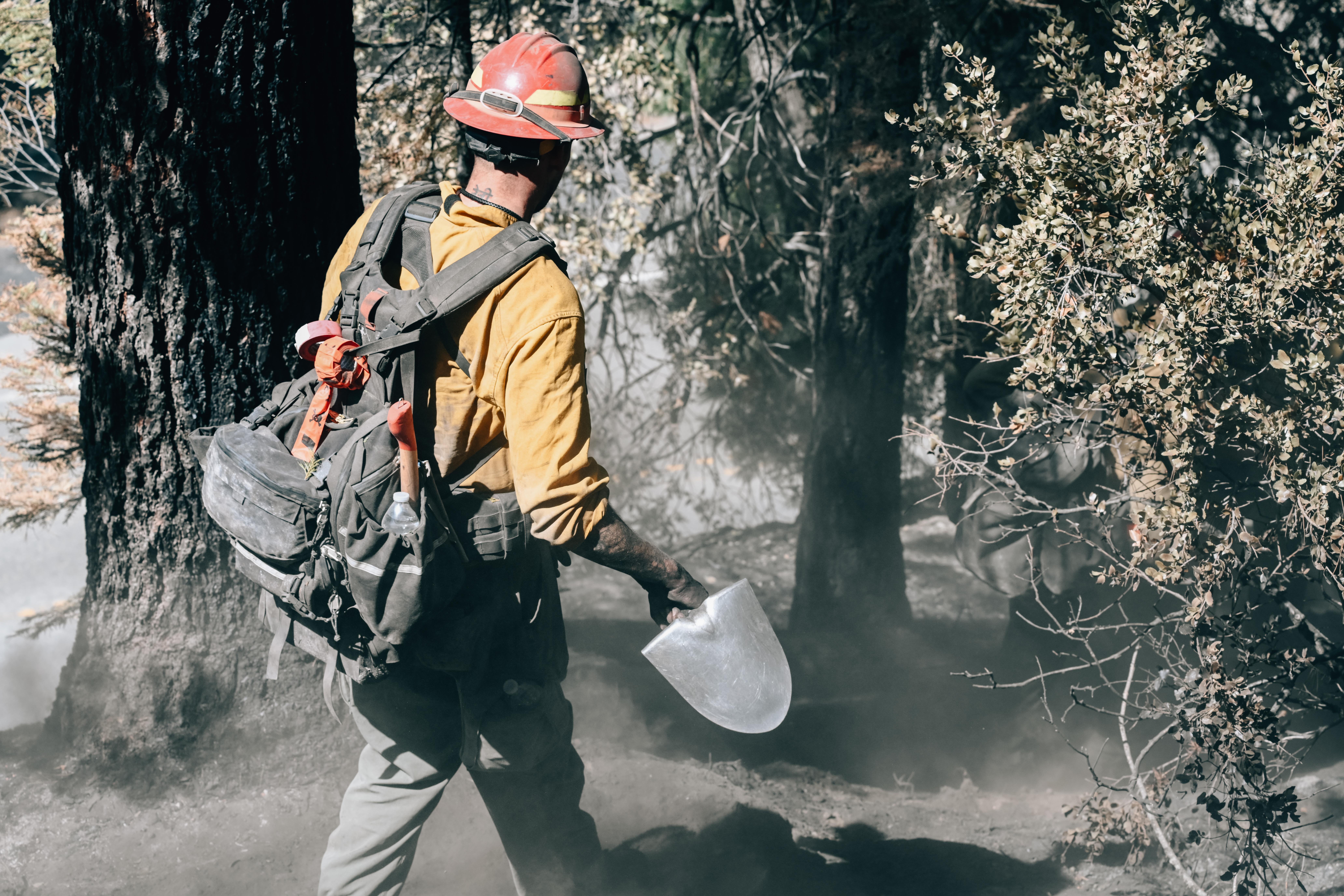 Crews with Bella Wildfire and Forestry work along Wawona Road, July 24, 2022, in Yosemite National Park performing suppression repair operations due to the Washburn Fire. Photo by Benjamin Cossel, USFS