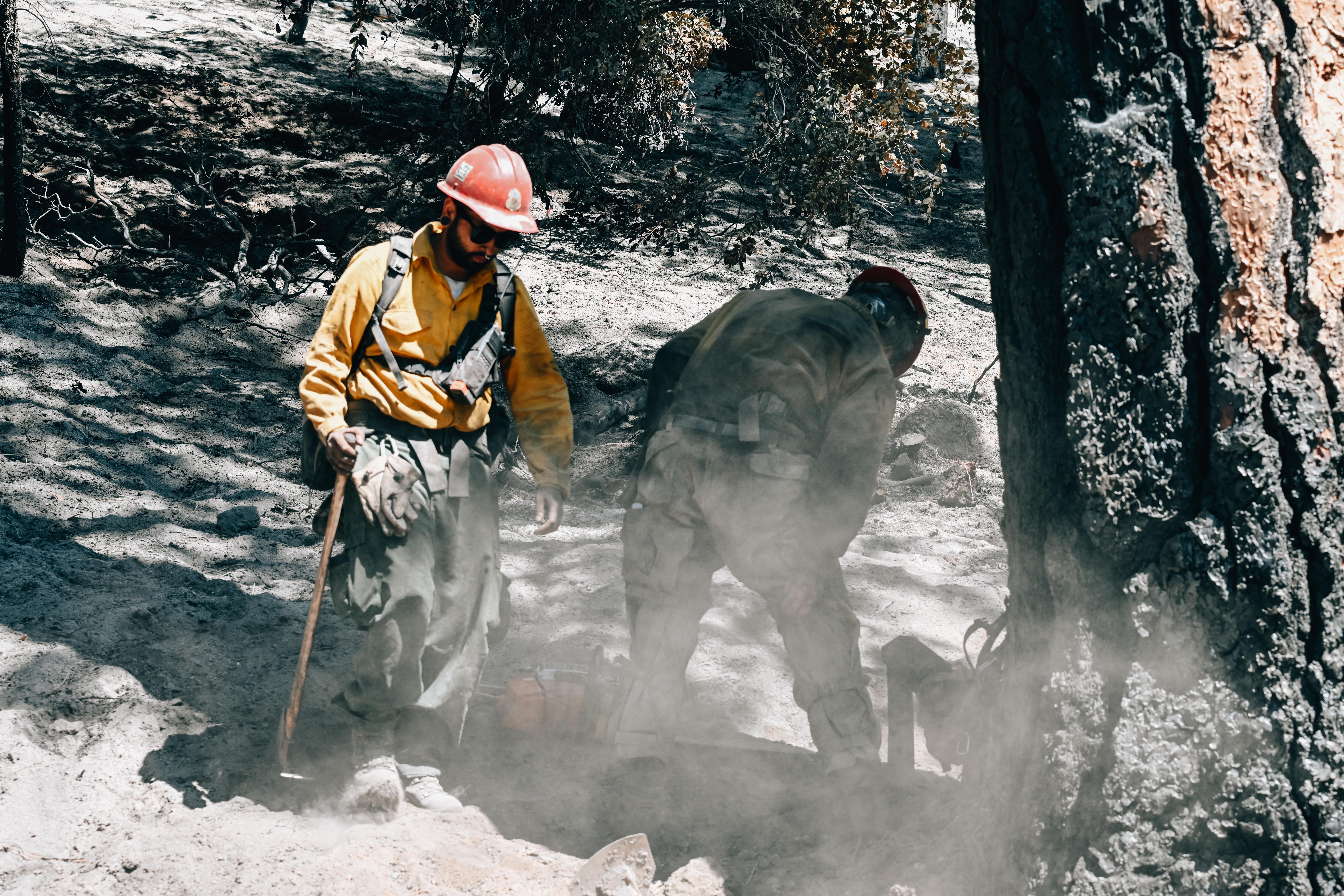 Crews with Bella Wildfire and Forestry work along Wawona Road, July 24, 2022, in Yosemite National Park performing suppression repair operations due to the Washburn Fire. Photo by Benjamin Cossel, USFS