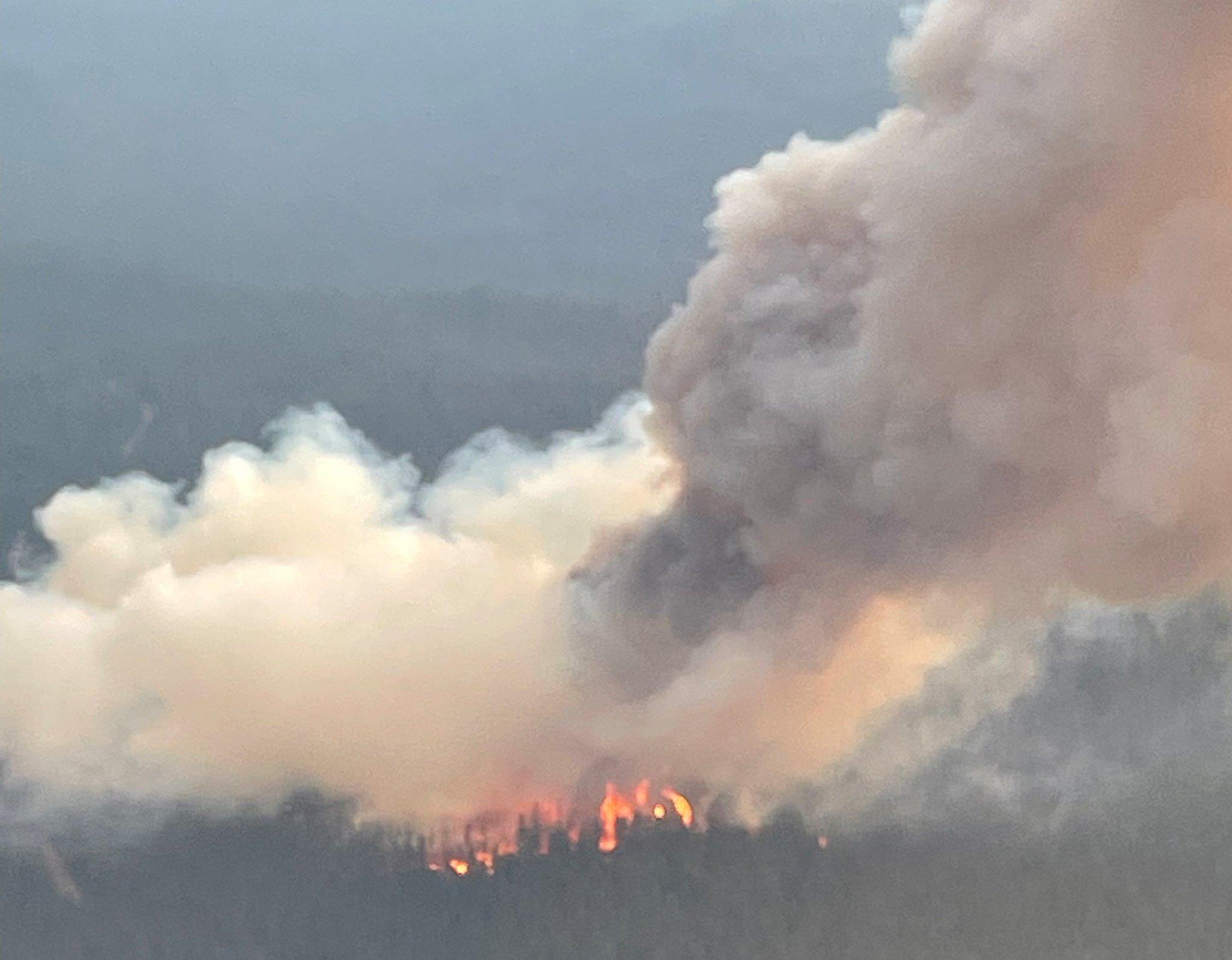 Aerial photo of a fire column rising from a forest.