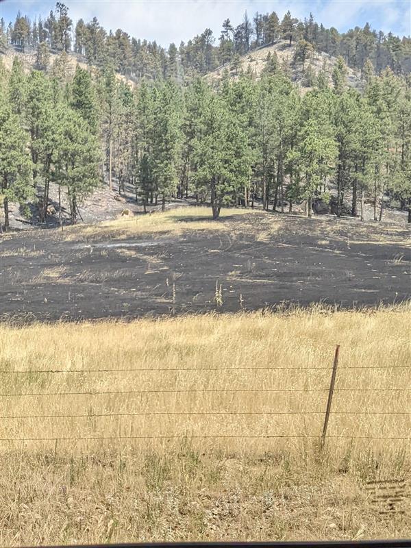 Burned forest and field, but no smoke