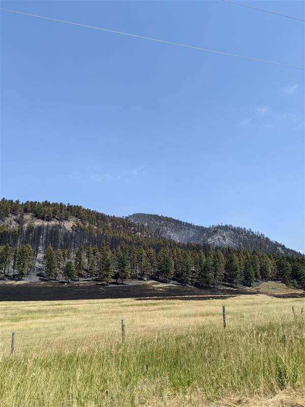 burned forest and field, but no smoke