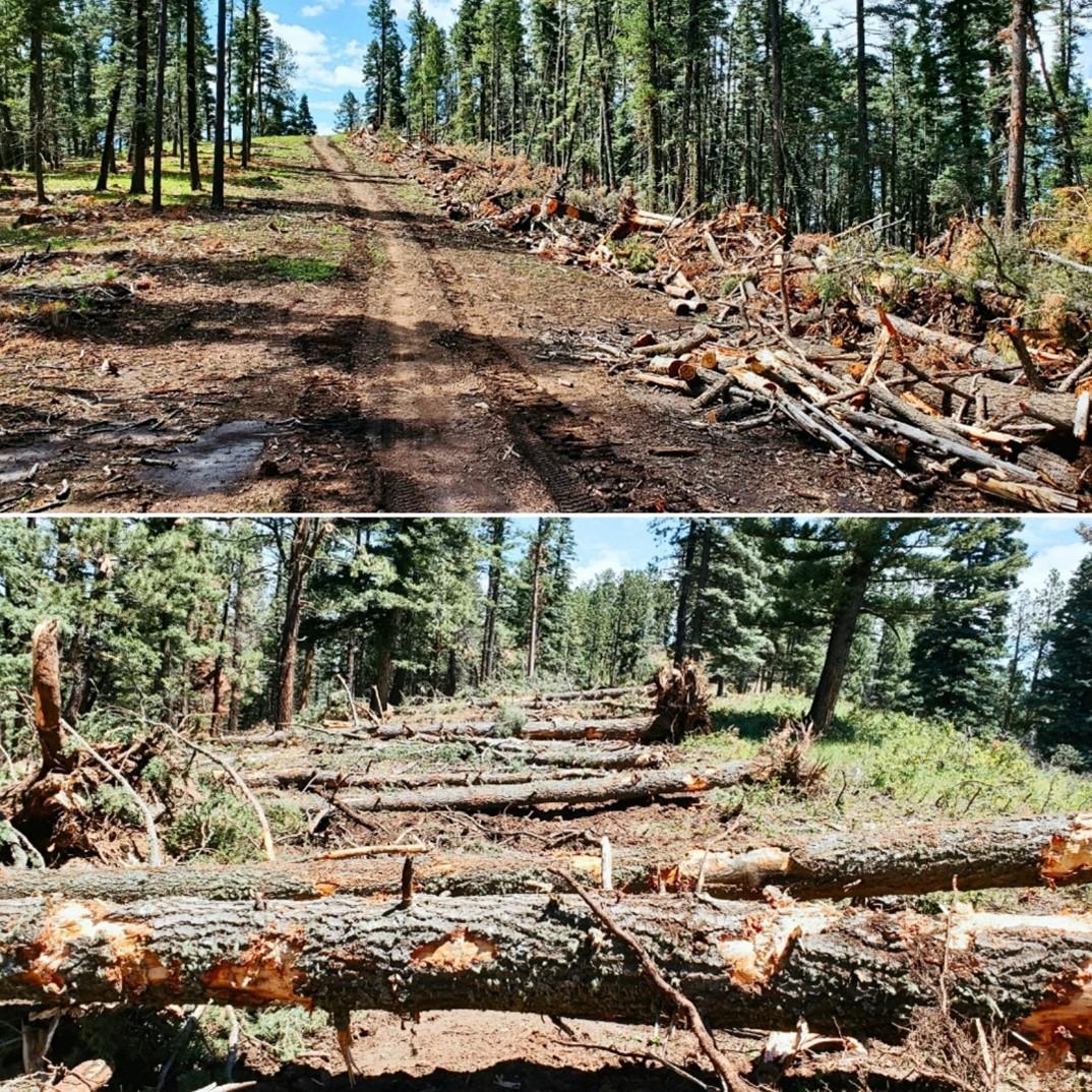 Before: Cleared dozer line on Grass Mountain from bottom view. 7/31/22 After: Repaired dozer line from top view. 8/1/22