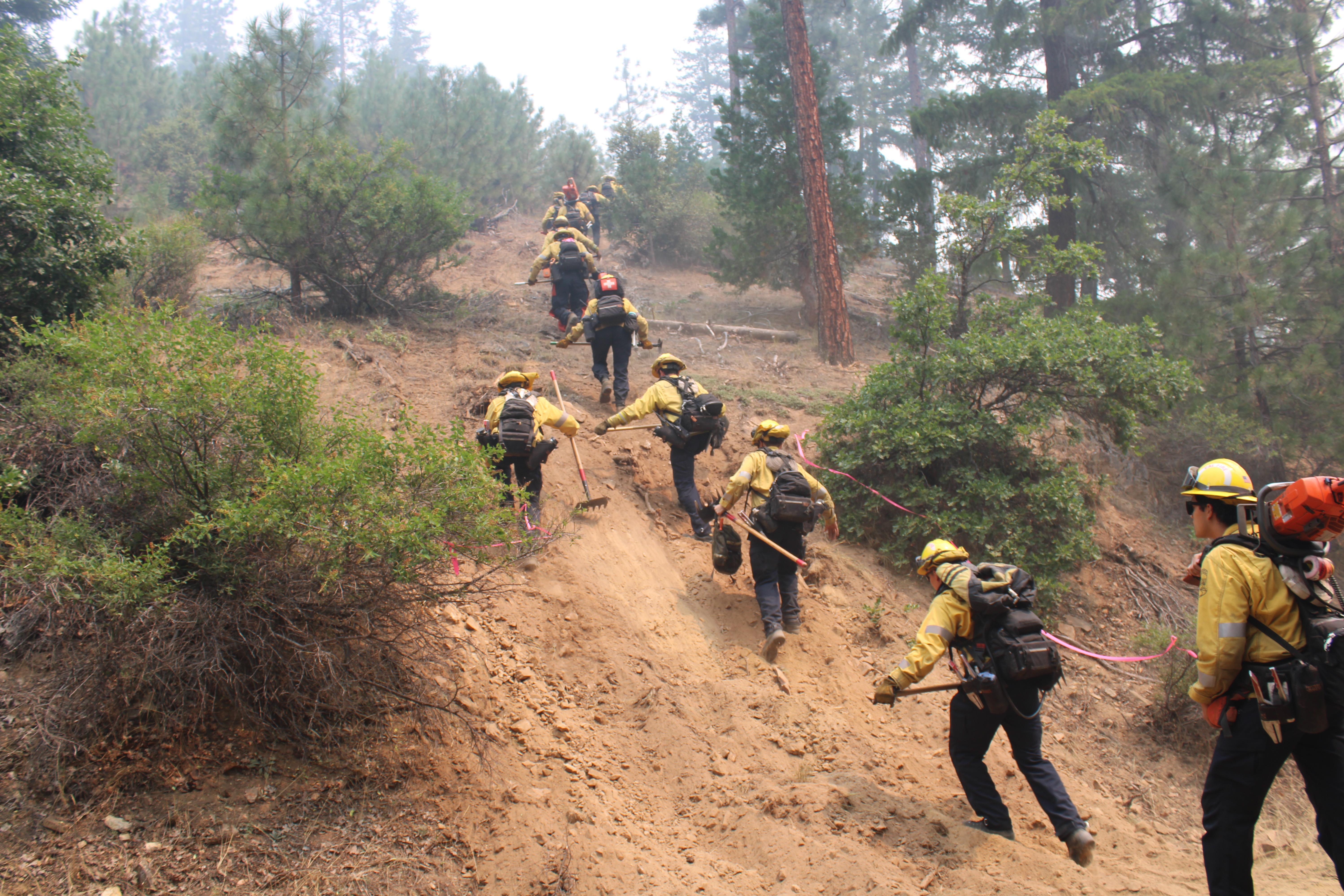 Cal Fire Hand Crew working the Smokey fire off Beaver Creek Road. on August 4, 2022 (USFS/Steve McQuillan)