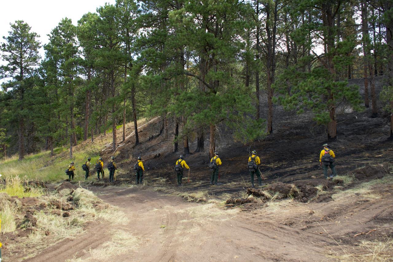 firefighters line up to find hotspots to extinguish