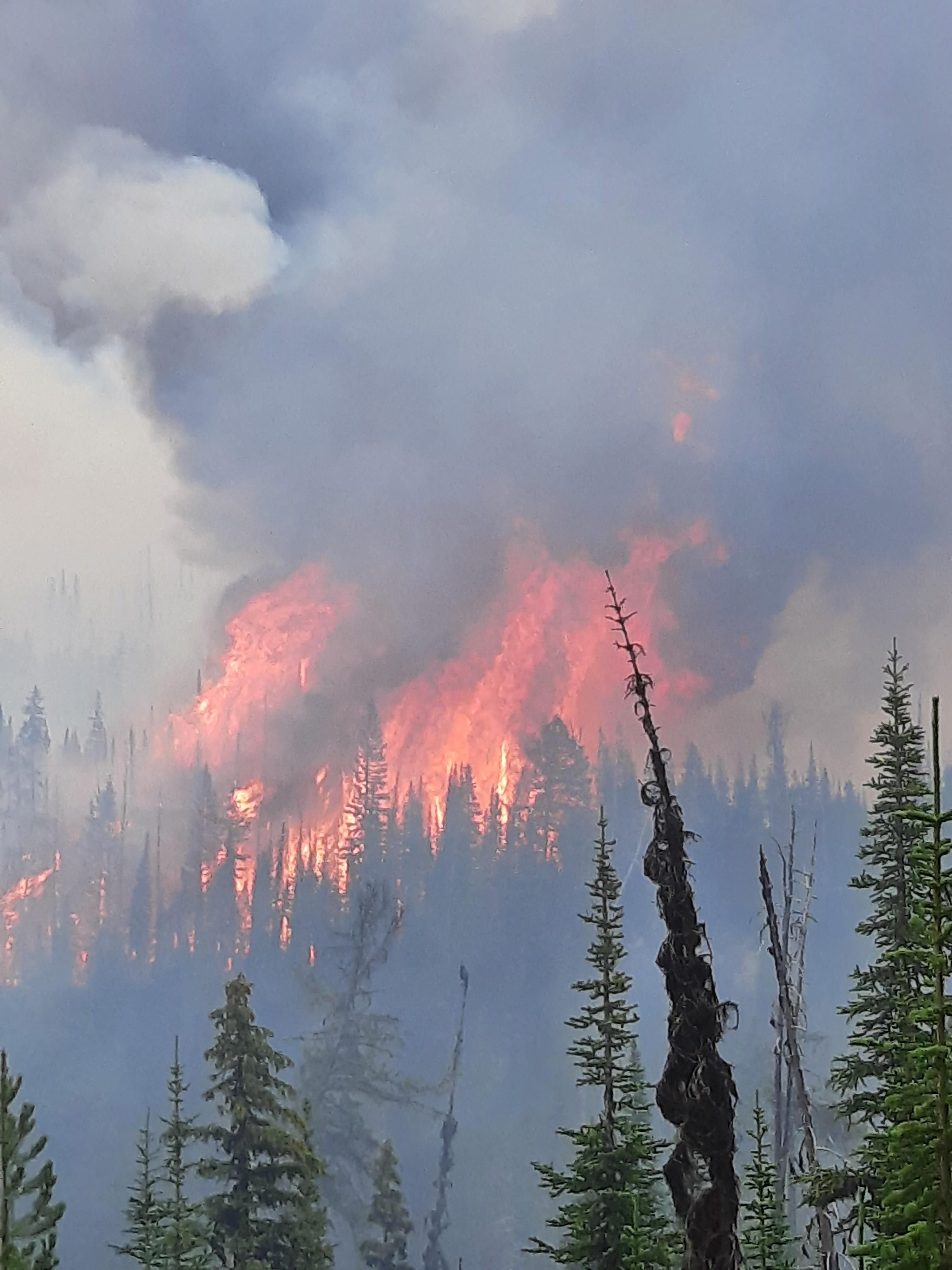 Extreme Fire Behavior on the Weasel Fire on August 4th 2022