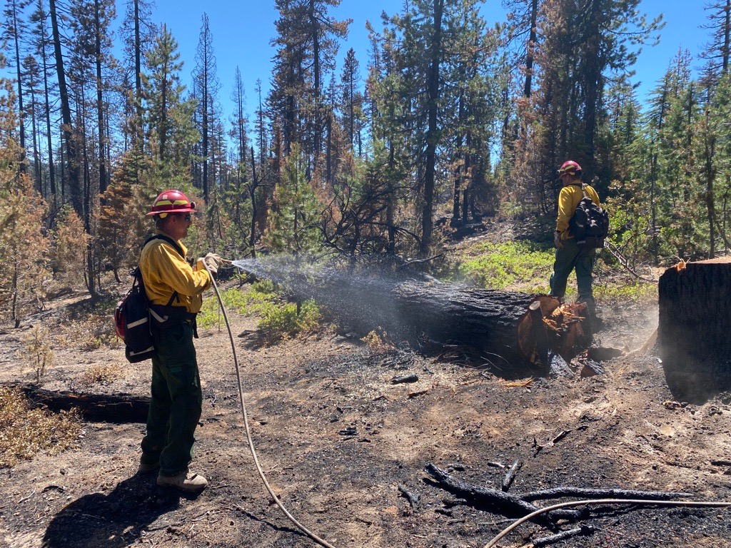 Mop-up on the Windigo Fire near Forest Road 60 on 8/5/2022