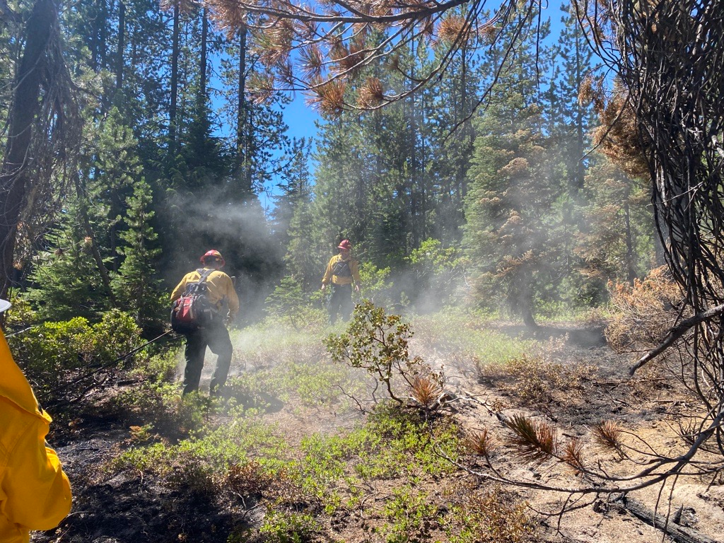 Mop-up on the Windigo Fire near Forest Road 60 on 8/5/2022