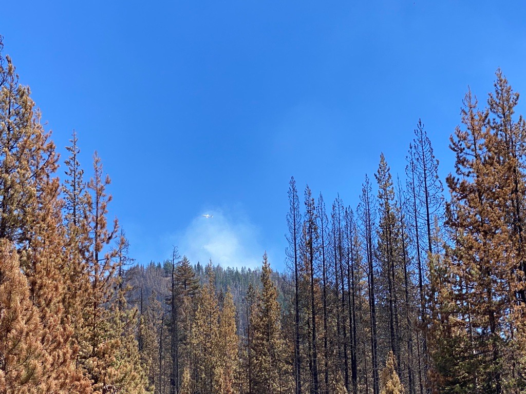 Windigo Fire. Forest Road 60. Image 7. Air Support. 8/5/2022