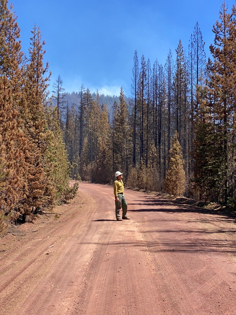 Windigo Fire. Forest Road 60. Image 13. Division Supervisor. 8/5/2022