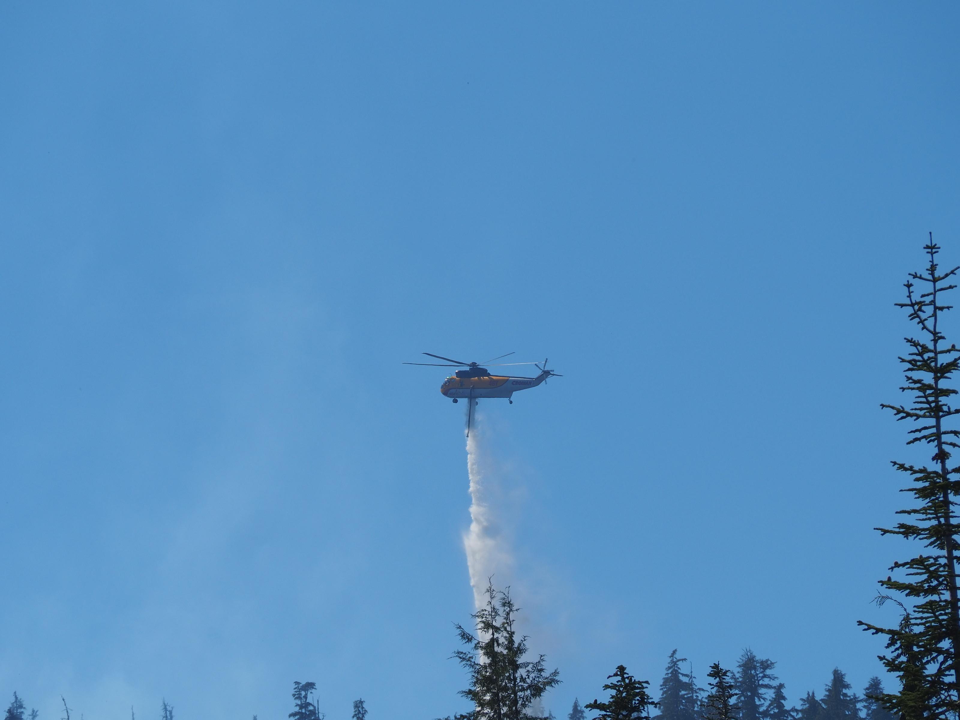 Air Support near Potter Mountain 8/6/2022 Image 2