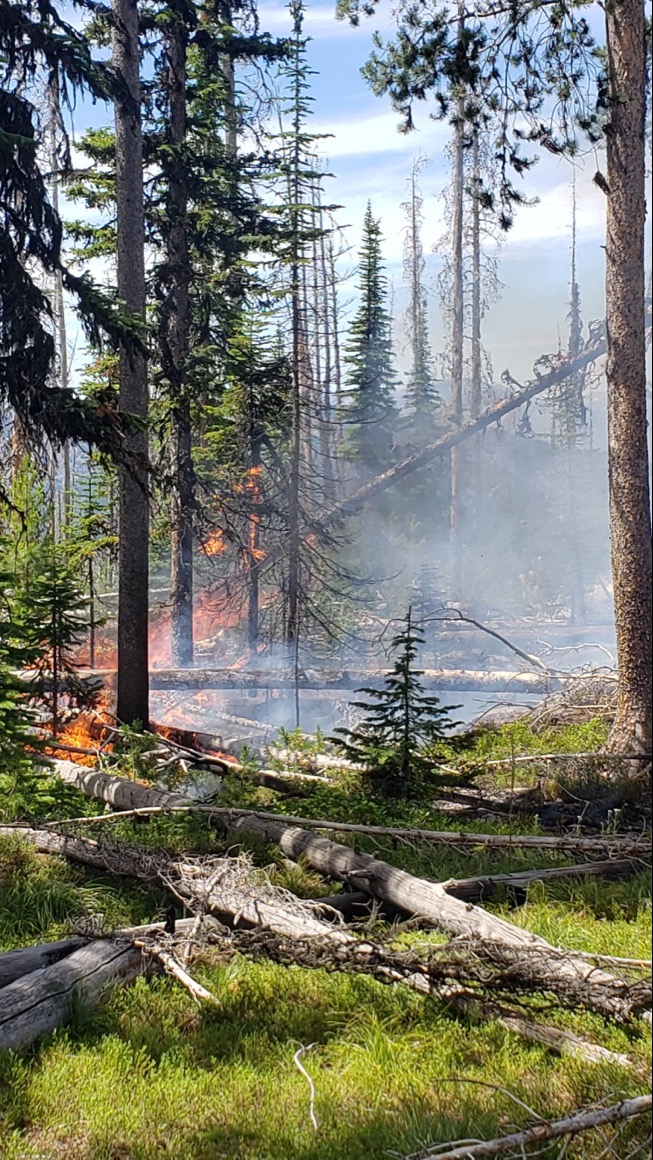 Fire Behavior at about 2pm on August 6 in the Signal Rock area, just west of Sapphire Divide Trail PC: Kevin Smith, Operations