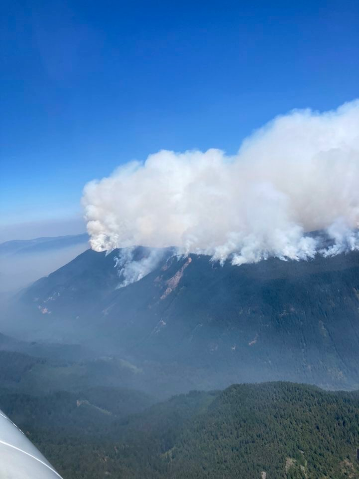 Aerial photo of distant white smoke column on a ridgeline. Fire is burning in heavy green timber. Taken August 7, 1:30pm