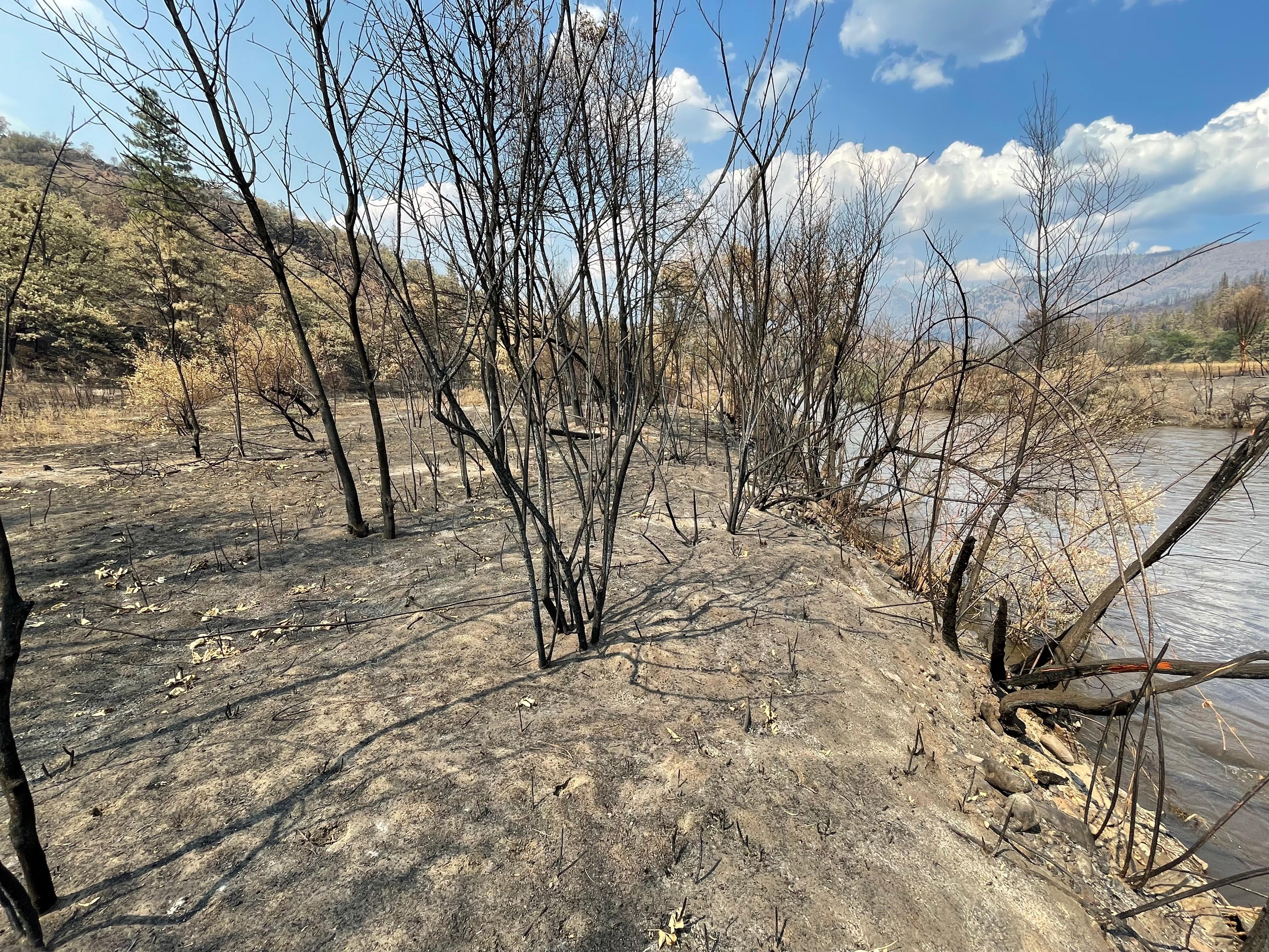 The Klamath River acted as a natural barrier for a portion of the fire 