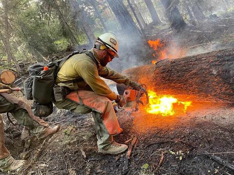 A sawyer bucks a downed snag to allow crews to extinguish flames with water.