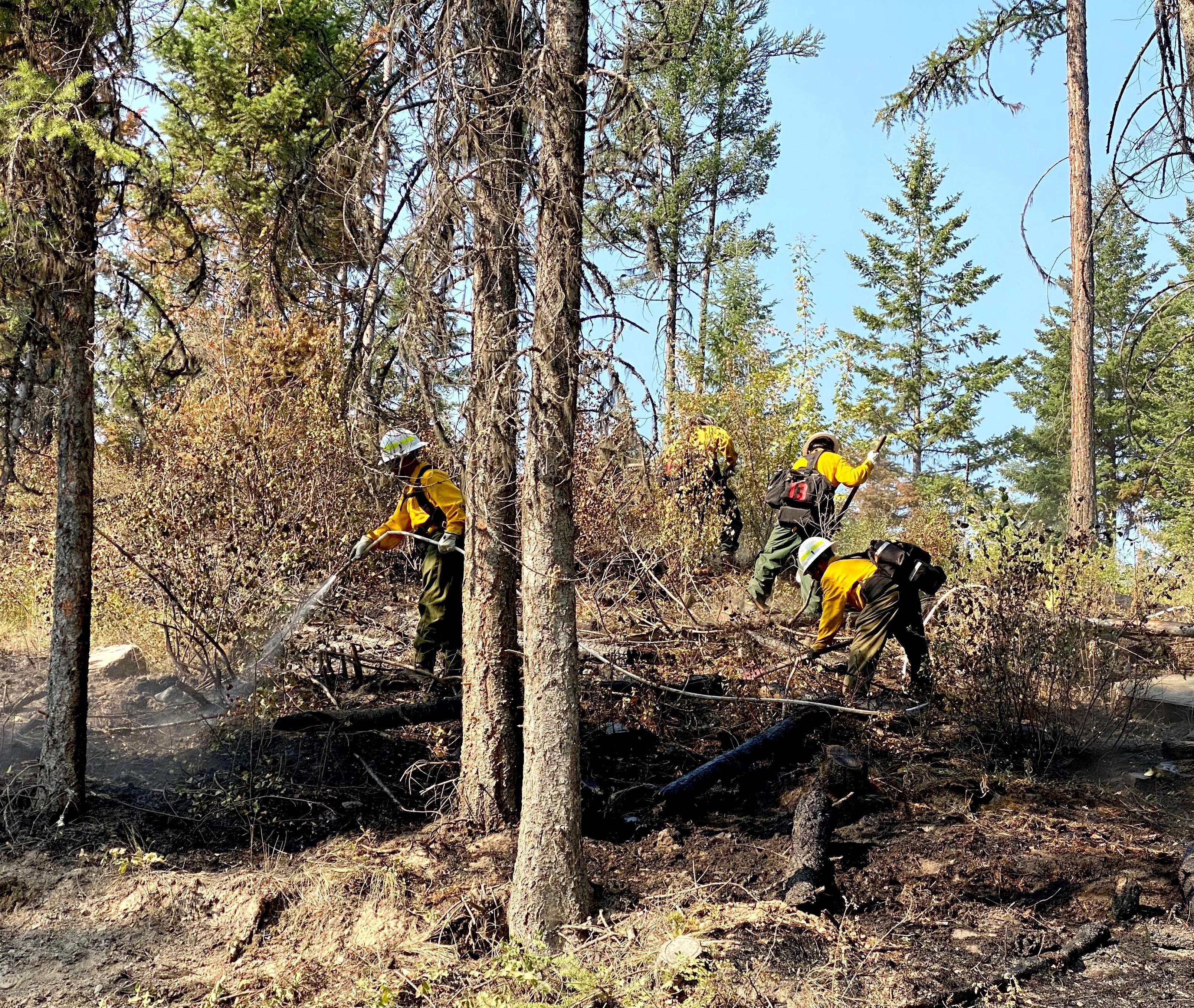 West Coast Reforestation Crew extinguishing areas of heat along the road on the south shore of Lake Mary Ronan, August 7, 2022.