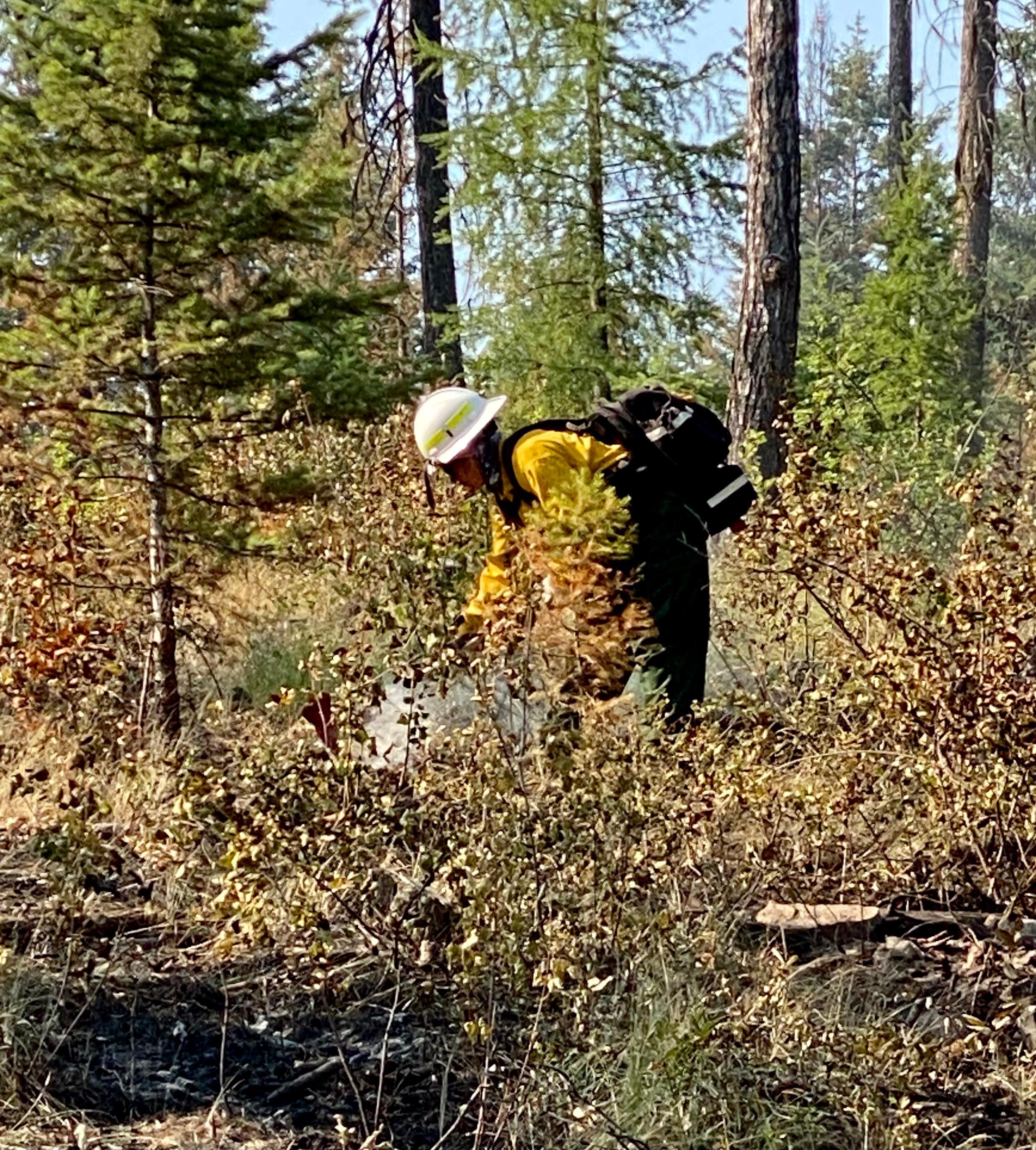 Firefighter from West Coast Reforestation Crew extinguishing areas of heat along the road on the south shore of Lake Mary Ronan, August 7, 2022.